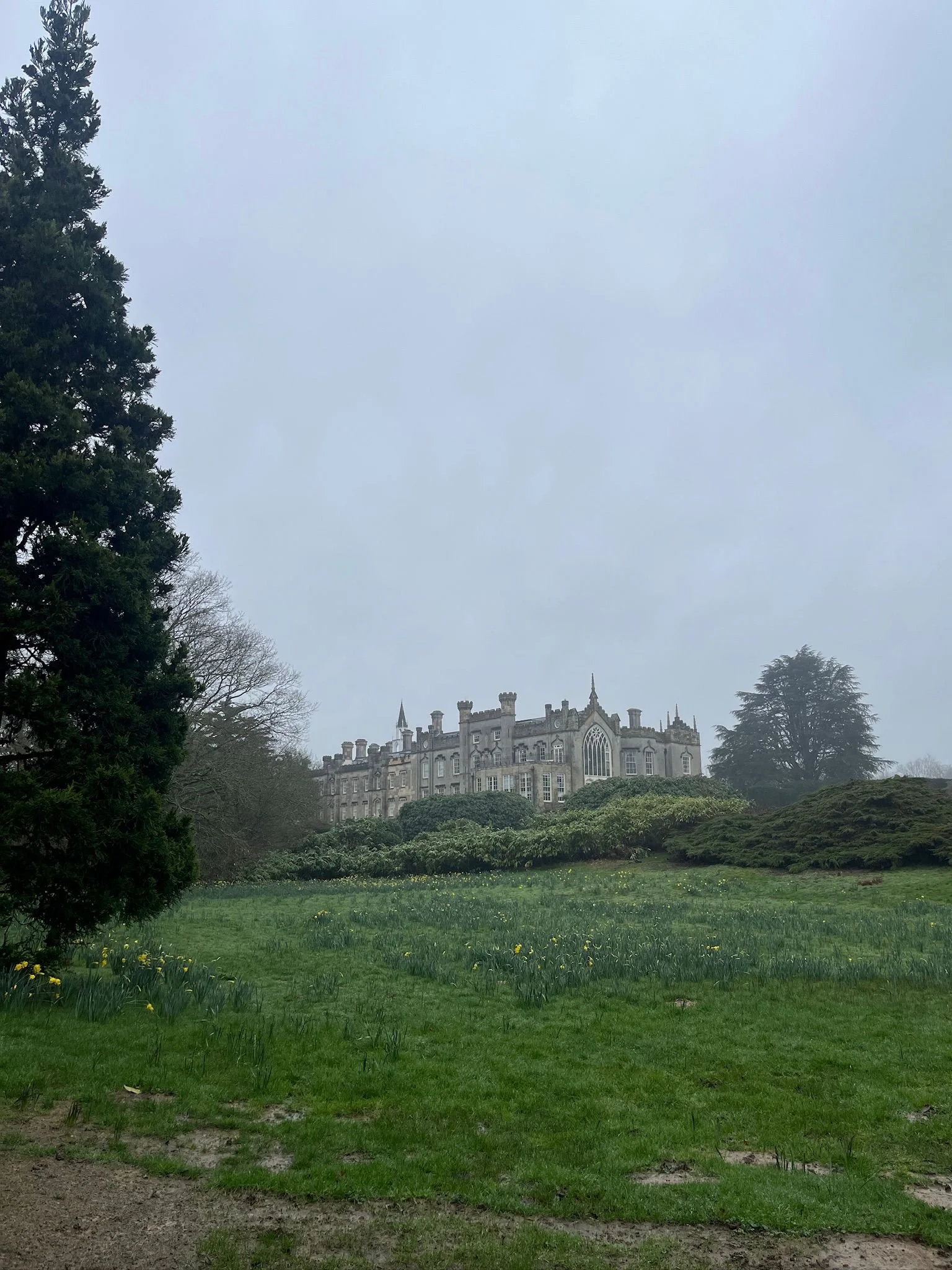 WhatsApp Image 2026-03-06 at 11.58.02.jpeg