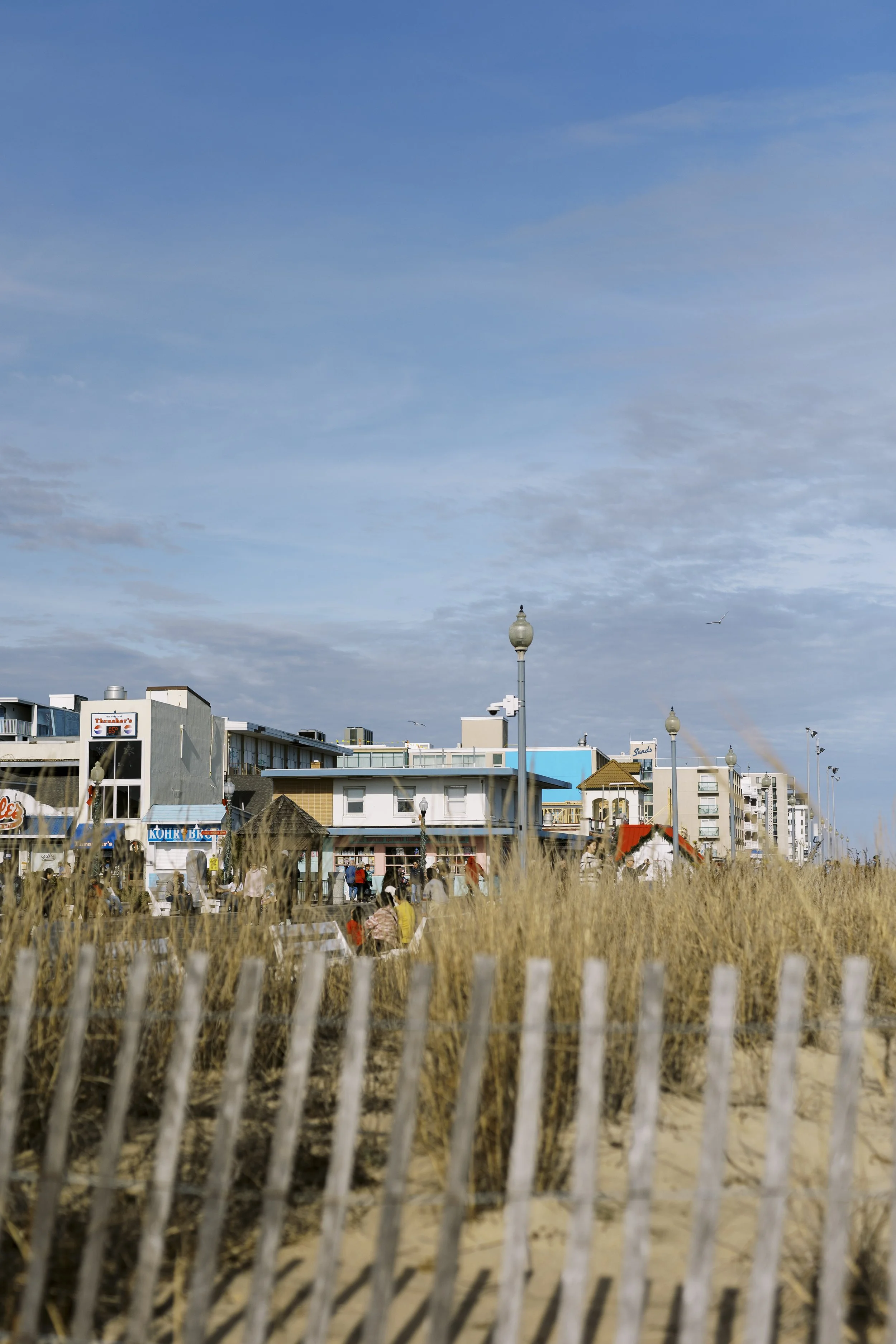 Beachside scene with buildings, street lamps, people walking, and tall grass in the foreground under a blue sky with some clouds and a seagull flying.