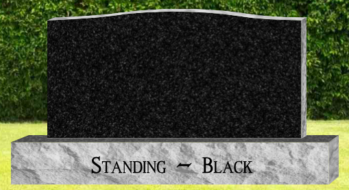 Standing - Companion - Black.png