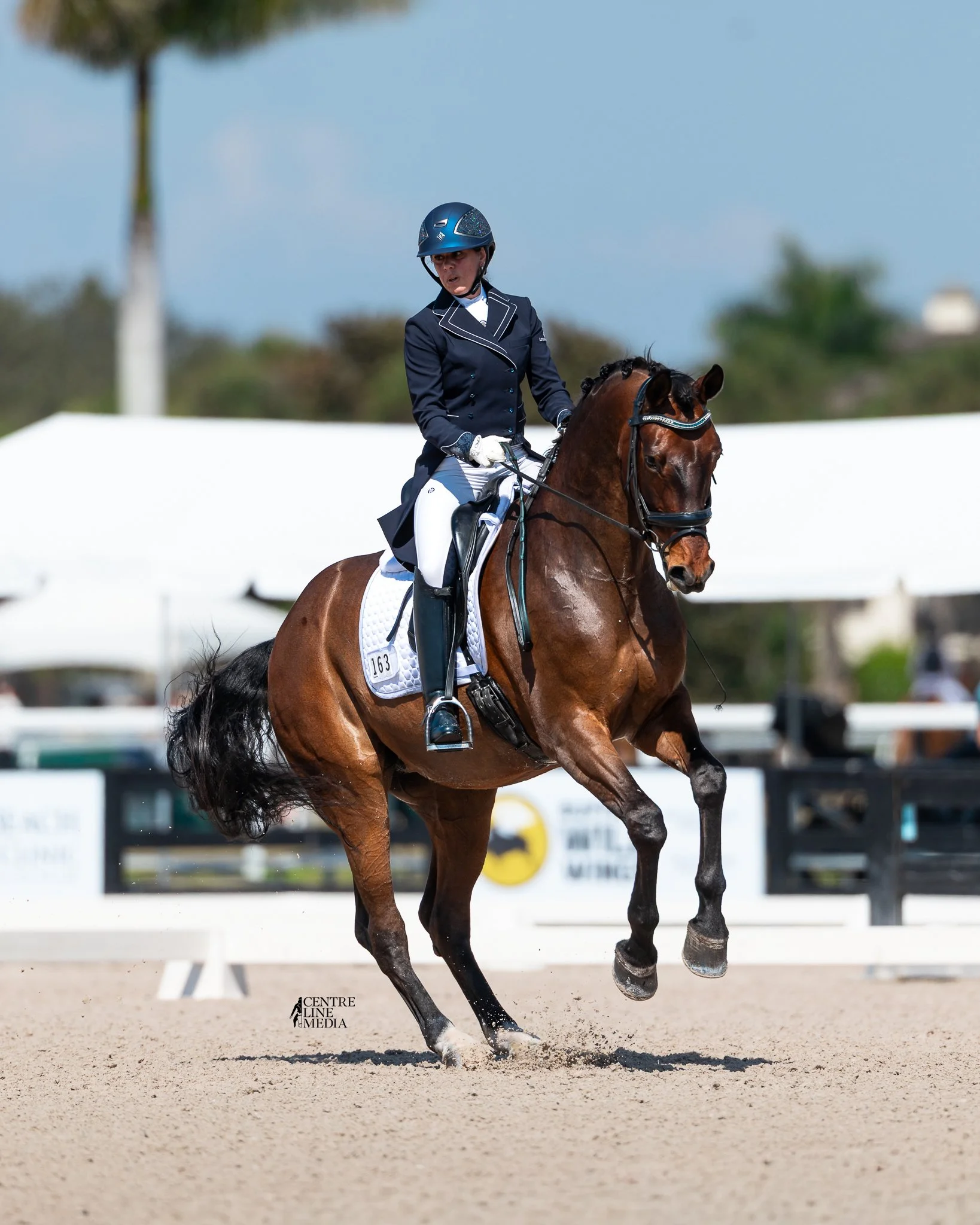 4 Decades studying biomechanics,balalnce, and communication between horse and rider
