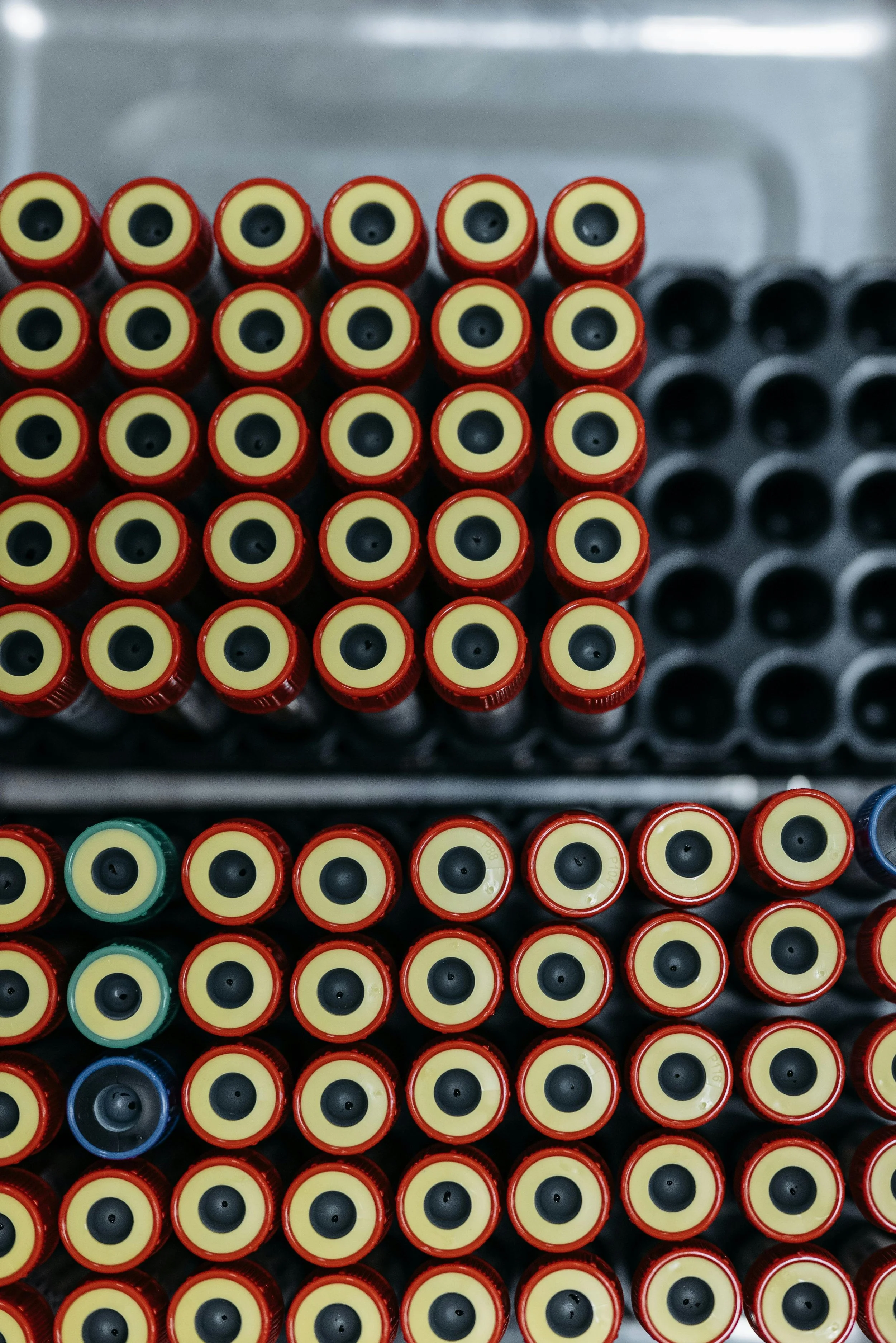 What is C-peptide?