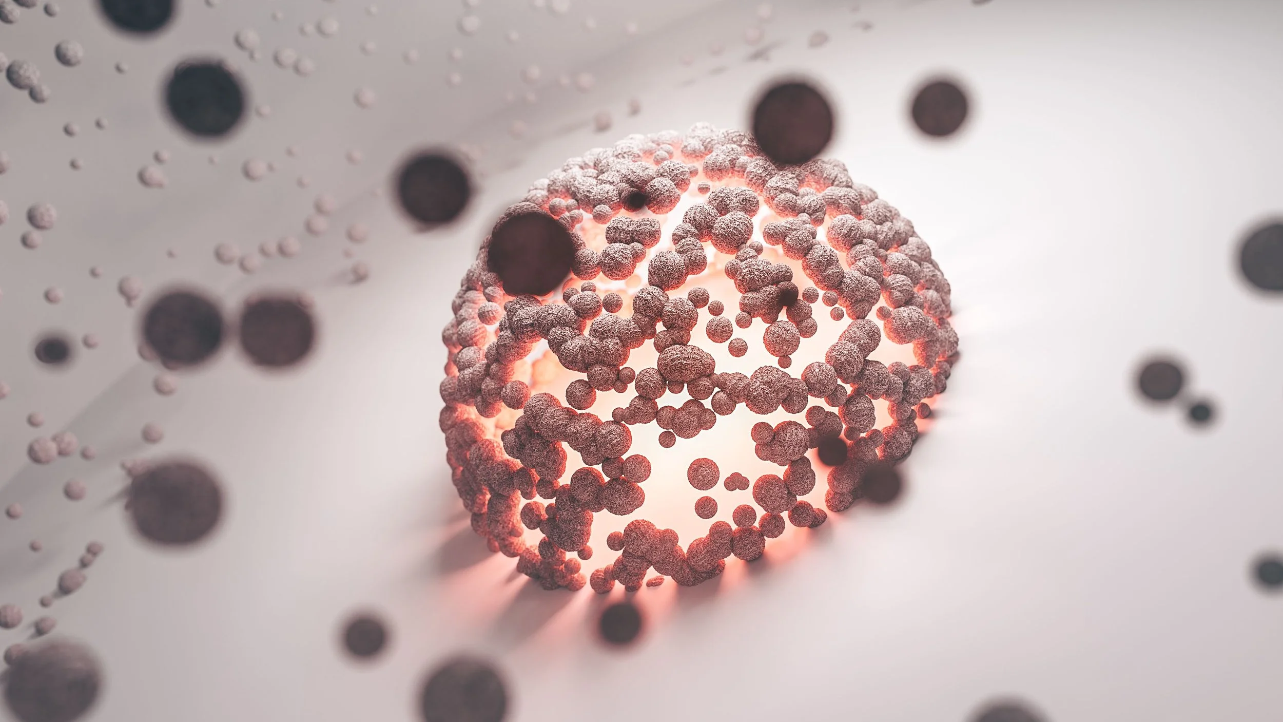 What is B-Eosinophil granulocytes?