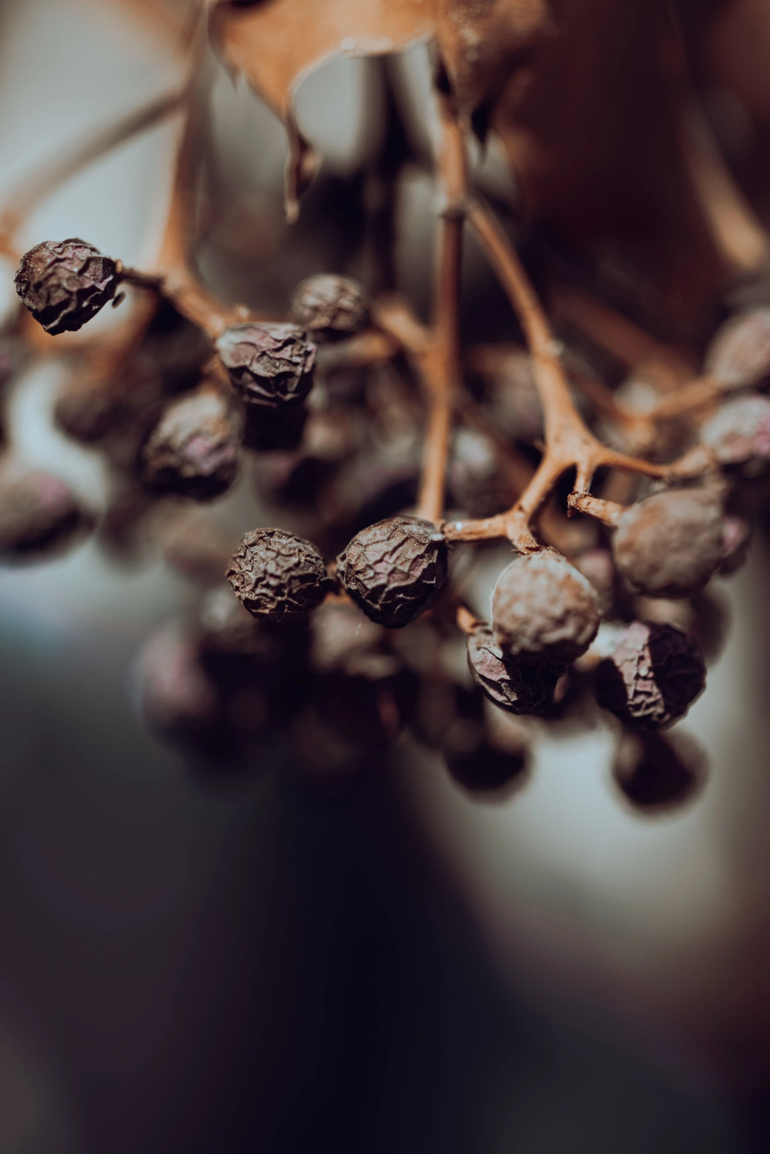 What is S-Testosterone, bioactive?