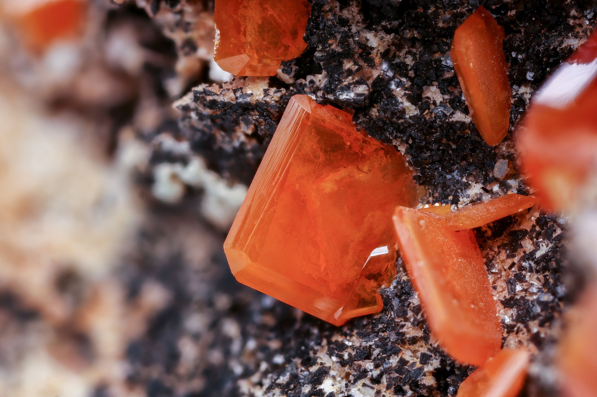 What is S-Phosphate?