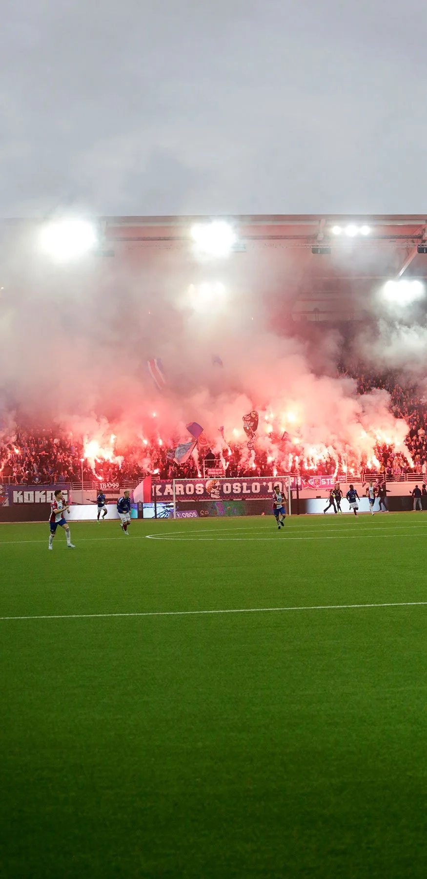 vif_L8A5479.jpg
