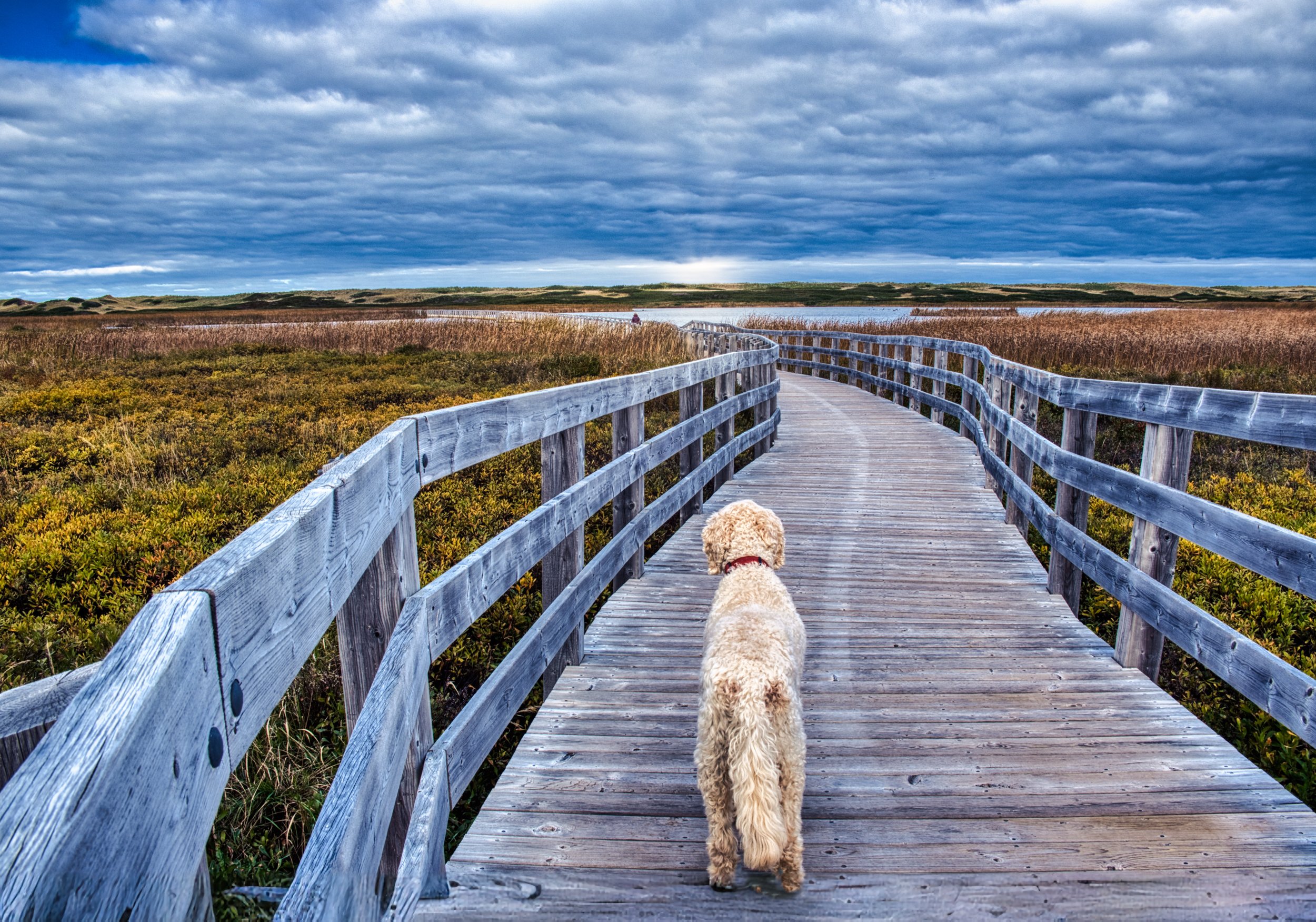 Greenwich PEI 5