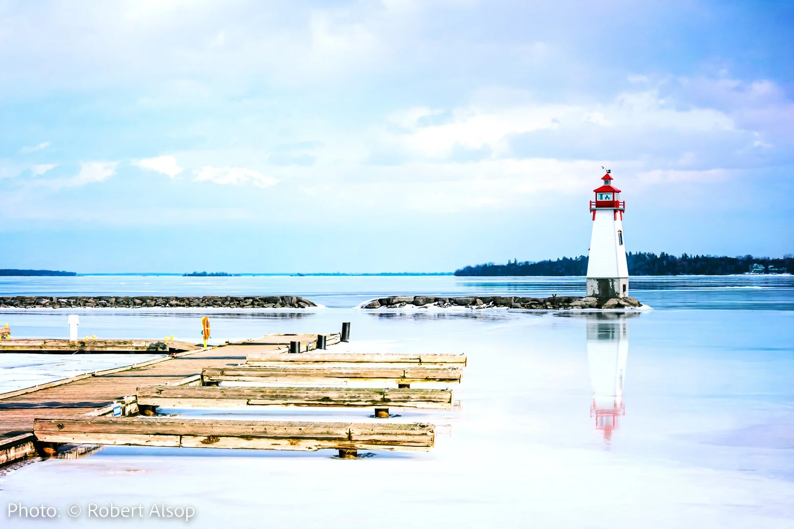 Nature’s Camera Work