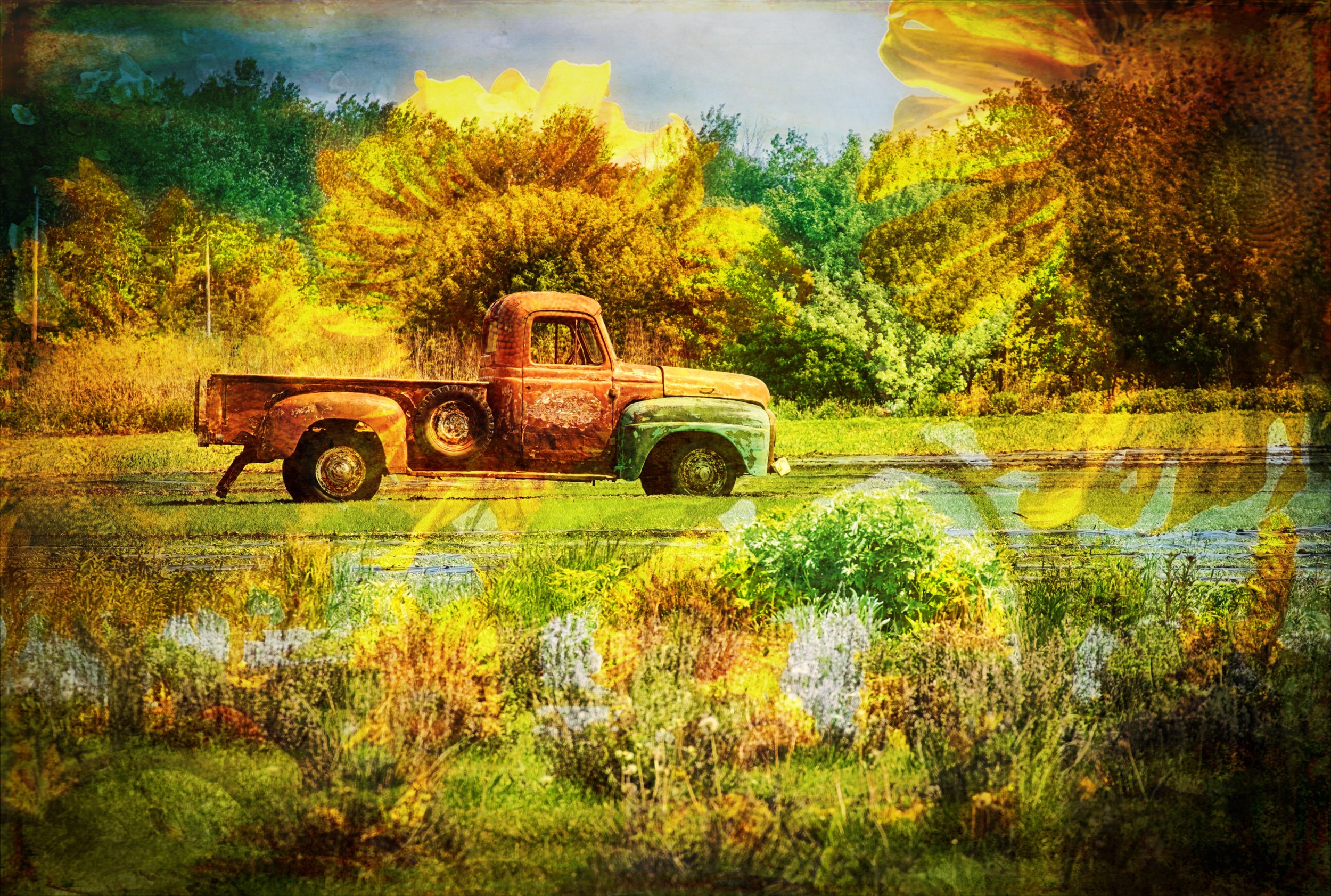 Sunflower Truck