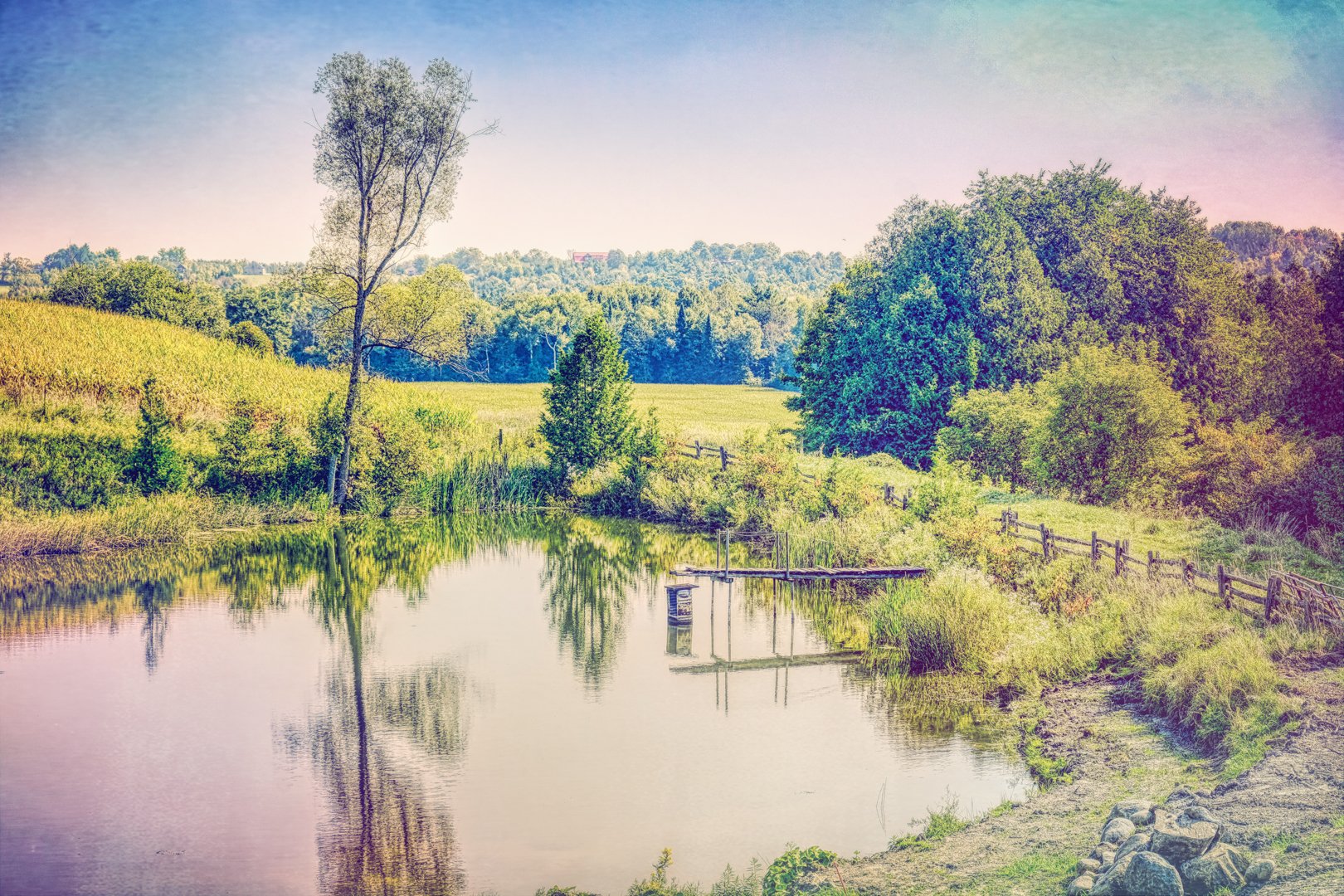 Summer Farm Pond