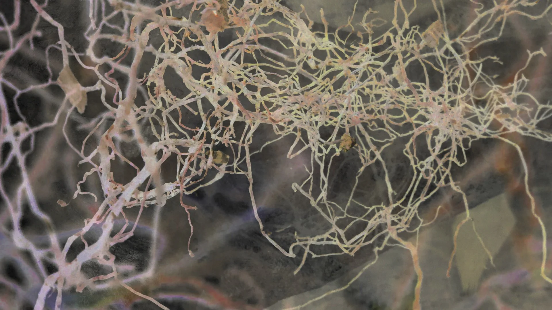 1_Bio Feedback Laboratory_Photo LYD PORT.jpg