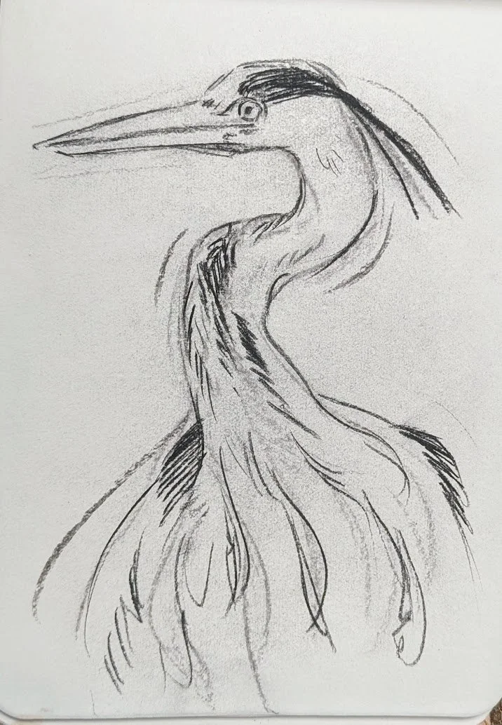 Blue Heron