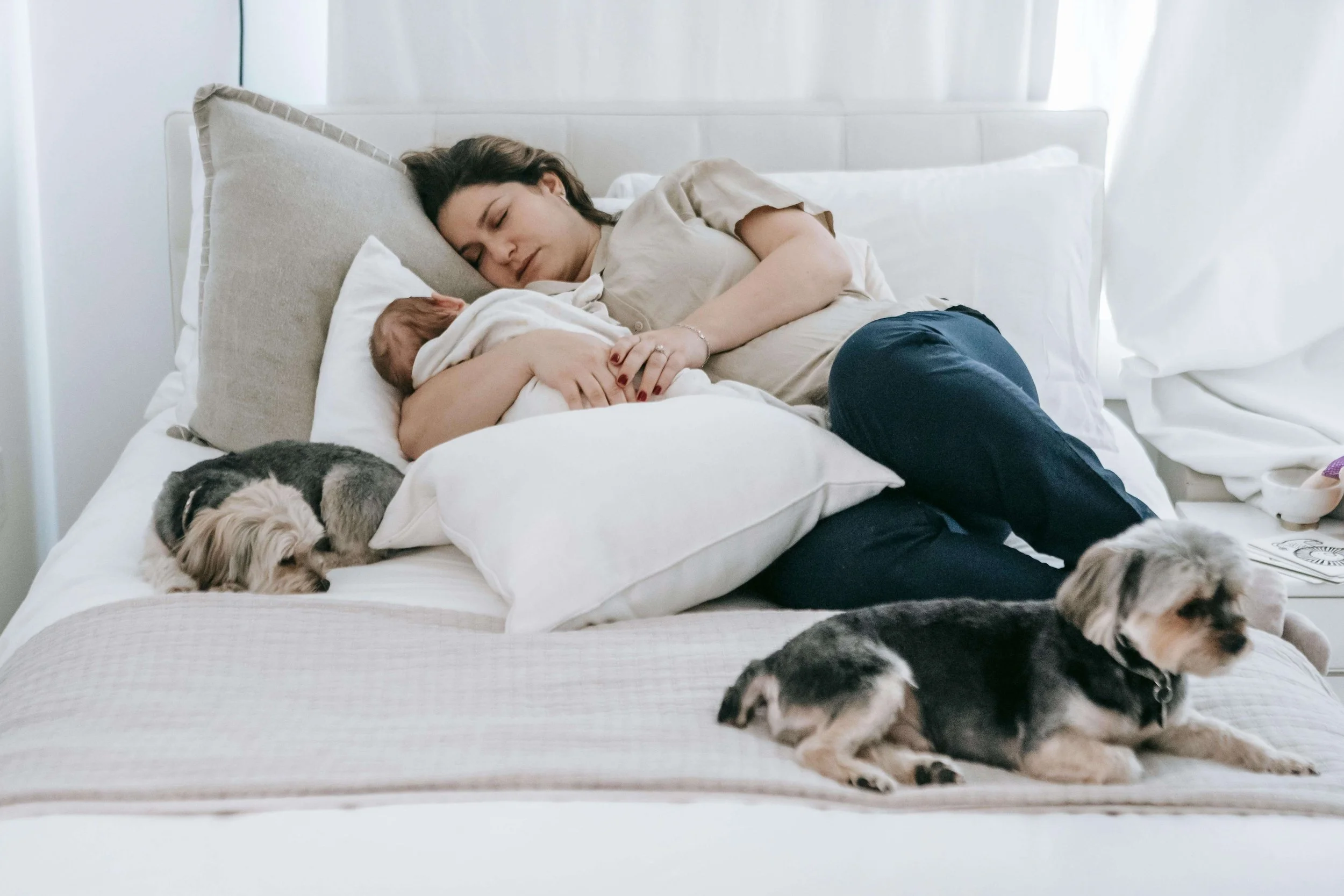 Postpartum parent resting beside their newborn on a bed, surrounded by pets, reflecting exhaustion and postpartum sleep deprivation in Washington, DC.