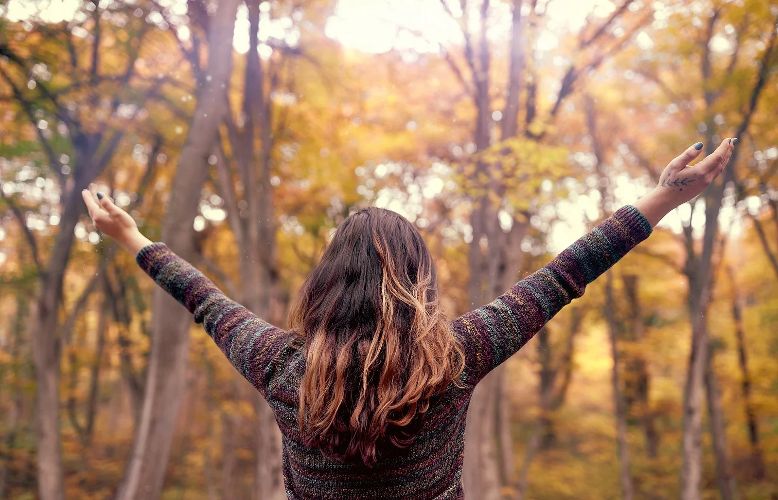 A woman raises her arms in a golden autumn forest, capturing the freedom that can grow from psychoanalysis in Washington, DC. A psychoanalytic therapist in Washington, DC or psychoanalysis in Chevy Chase, MD can help guide someone there.