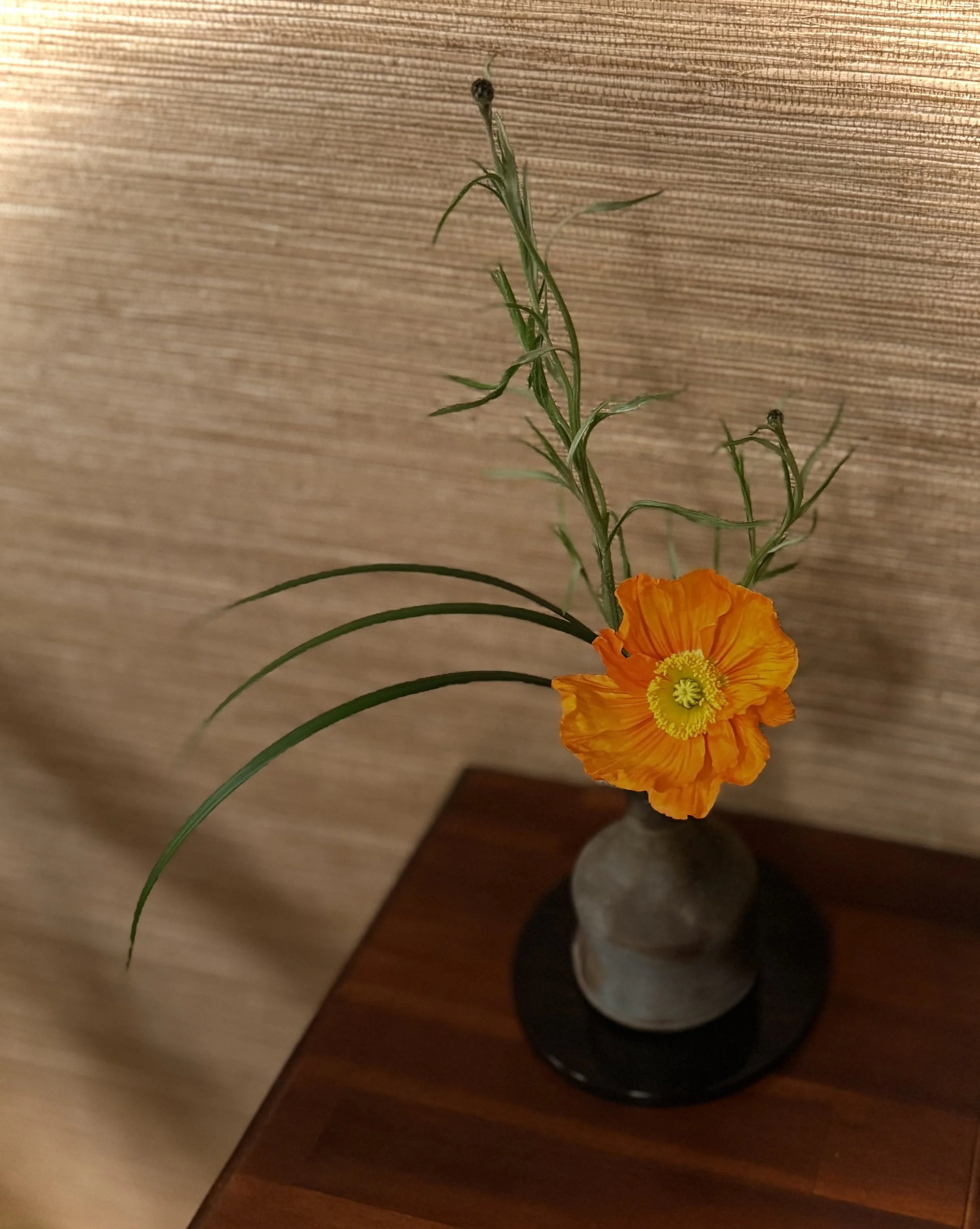 IMG_0055.jpeg