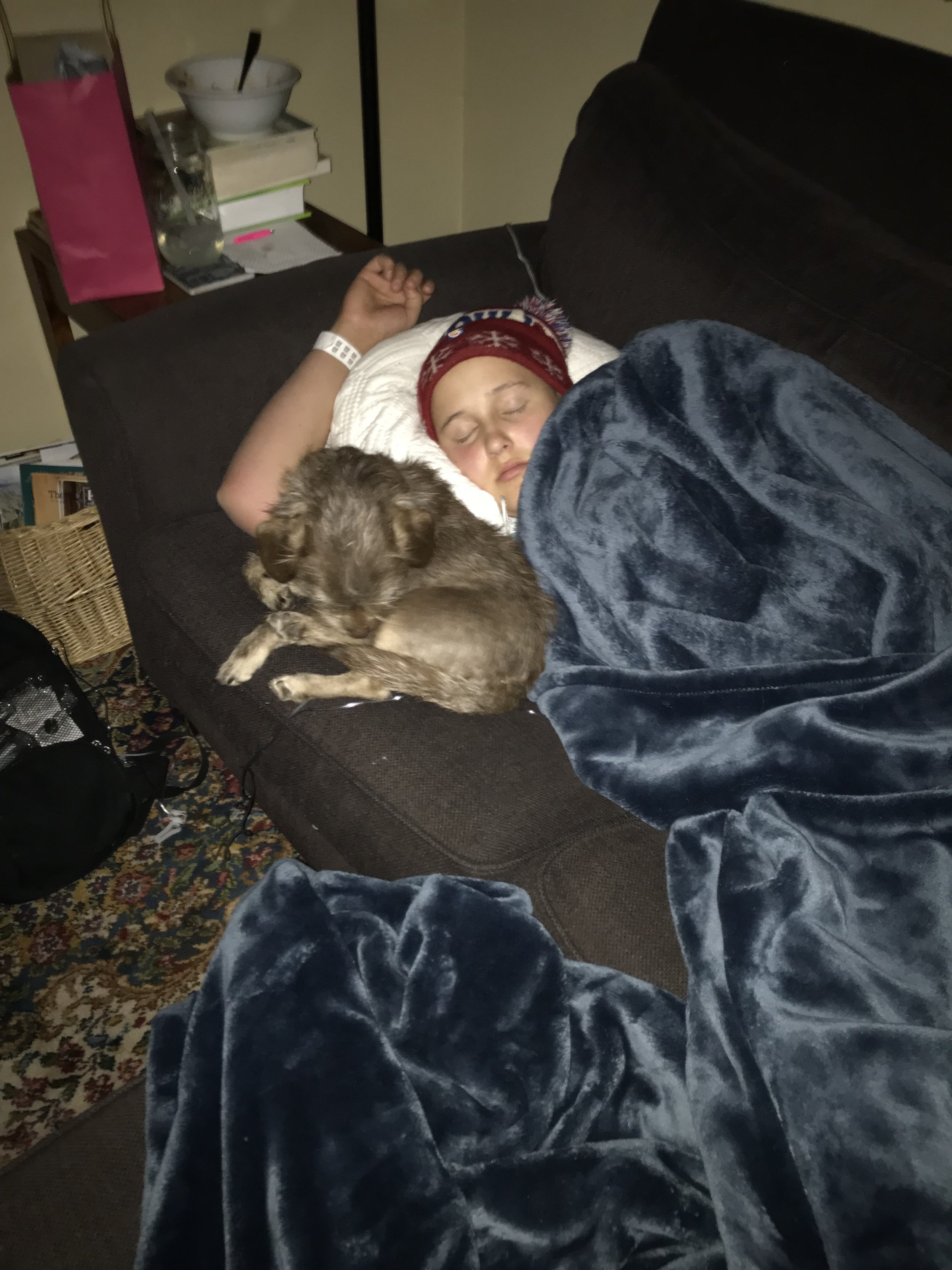 asleep on couch with scruffy.jpg