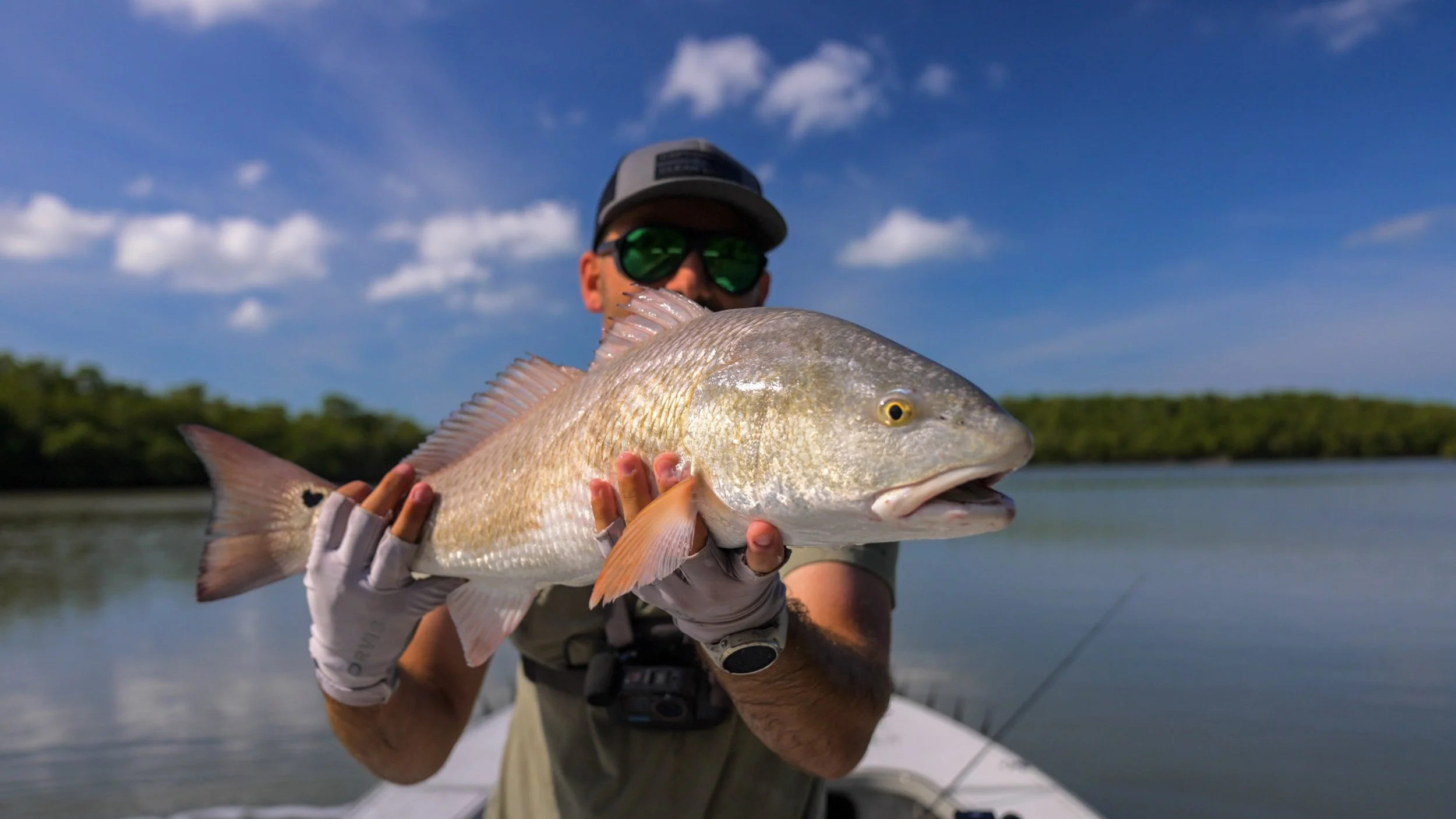 A person holding a large fish on a boat with a body of water and green trees in the background under a blue sky with clouds.