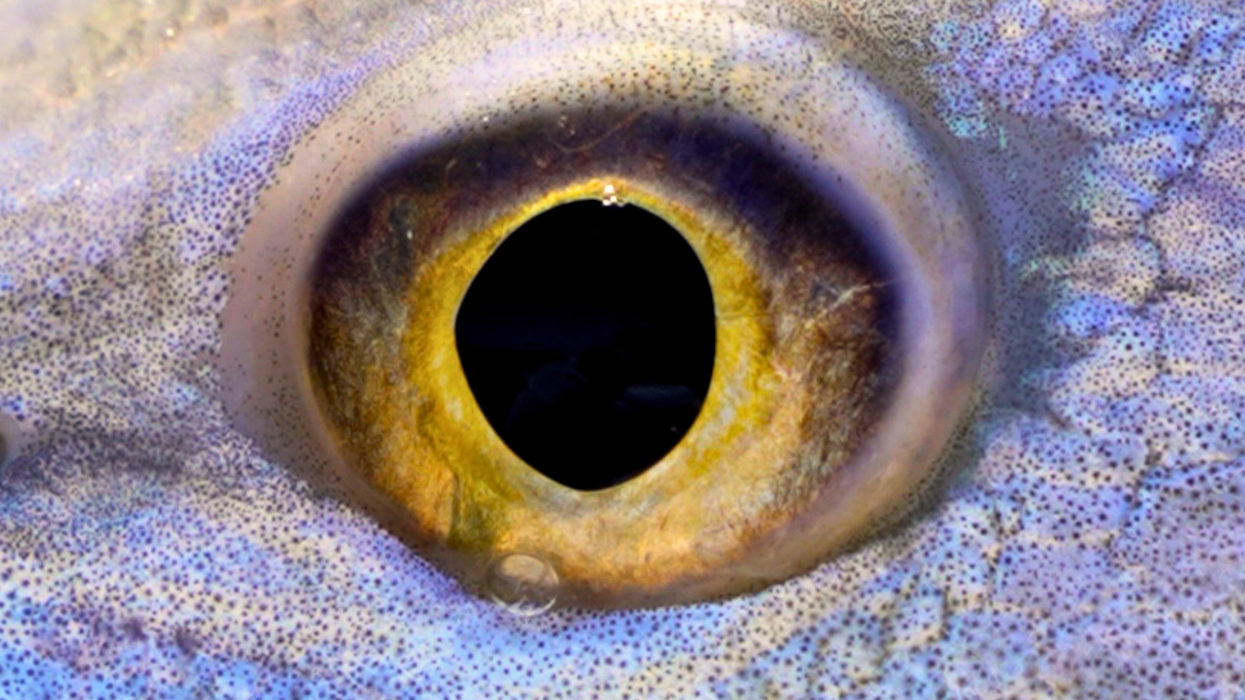 Untitled design - 2026-01-21T113438.741.png