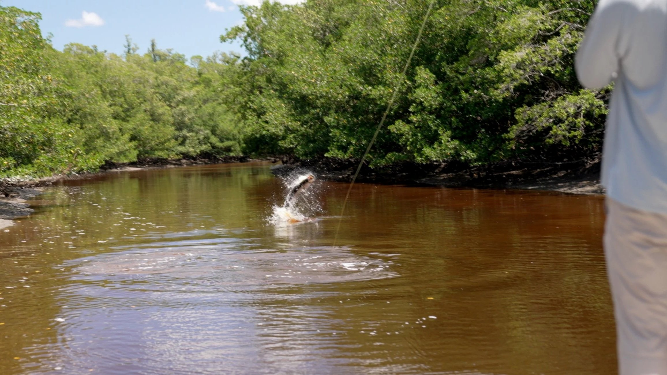 Close-up of a person's hand holding a fish's head, with the fish's eye and scales visible, partially submerged in water.