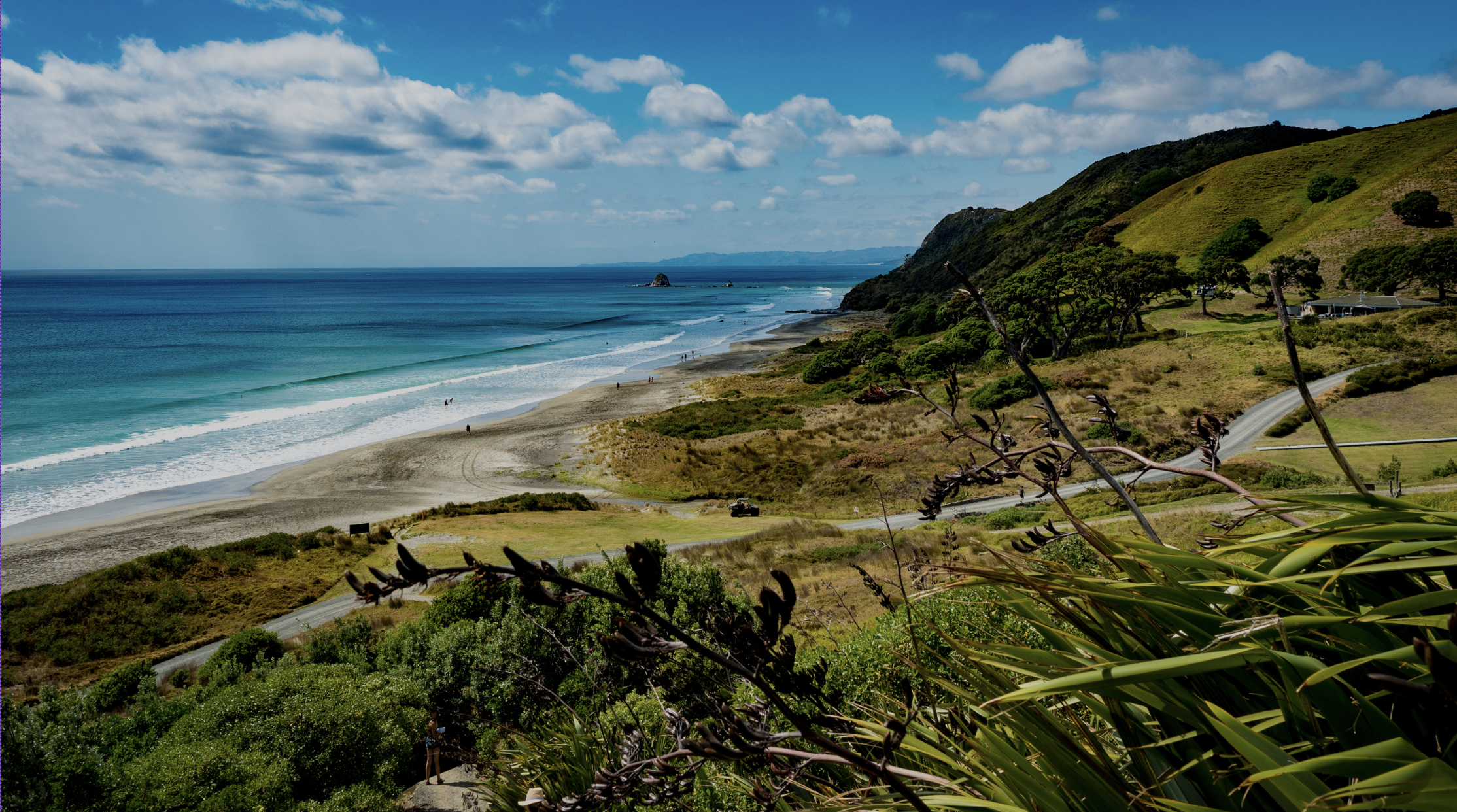 Coastal landscape with sandy beach, ocean waves, green hills, and scattered trees under a partly cloudy sky.