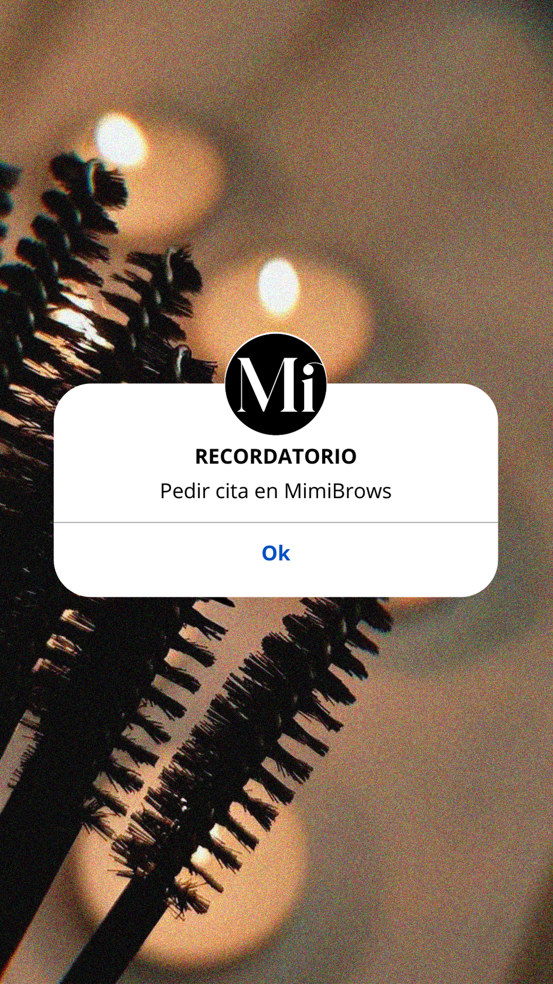 INSTAGRAM STORY 14.png