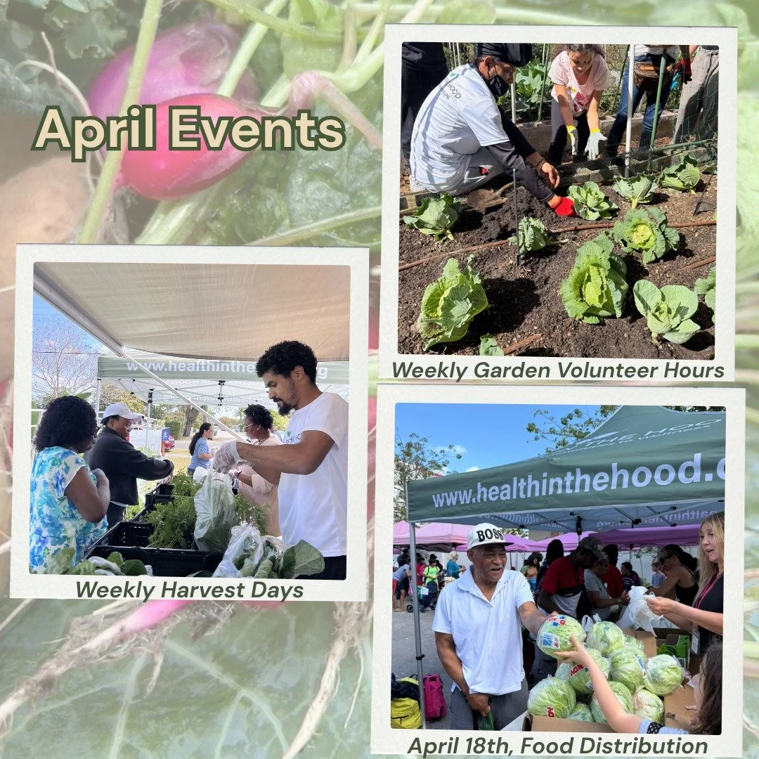 Join us this April to volunteer or receive services! 🌞🌱

&bull; Weekly Garden Volunteer Hours (9 AM &ndash; 12 PM)
&bull; Weekly Harvest Days (volunteer or receive fresh food)
&bull; April 18th: Overtown Distribution

Show up, get your hands in the