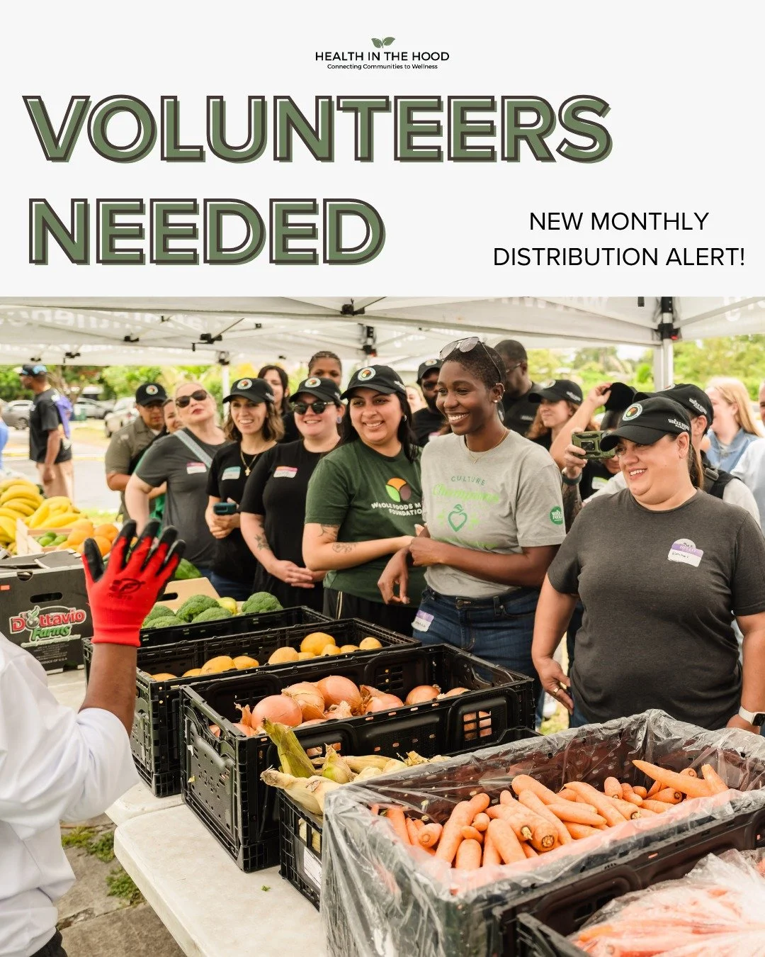 🚨 VOLUNTEERS NEEDED &mdash; New monthly distribution is HERE!

We can't do this without helping hands on deck. Join the Health in the Hood team at the Pinewood Pantry and help serve families in our community every first Tuesday.

Setup, distribution