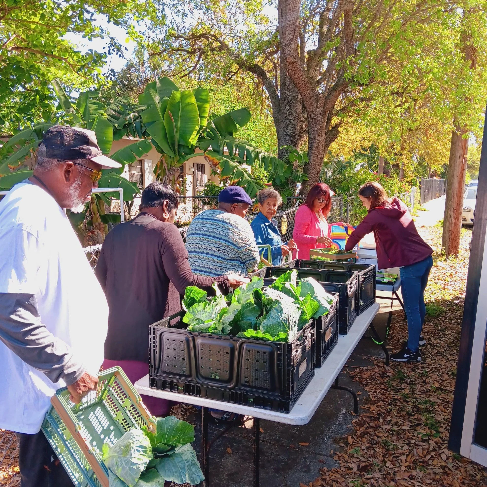 Community Produce Program Distribution Food Distribution — Health in the Hood