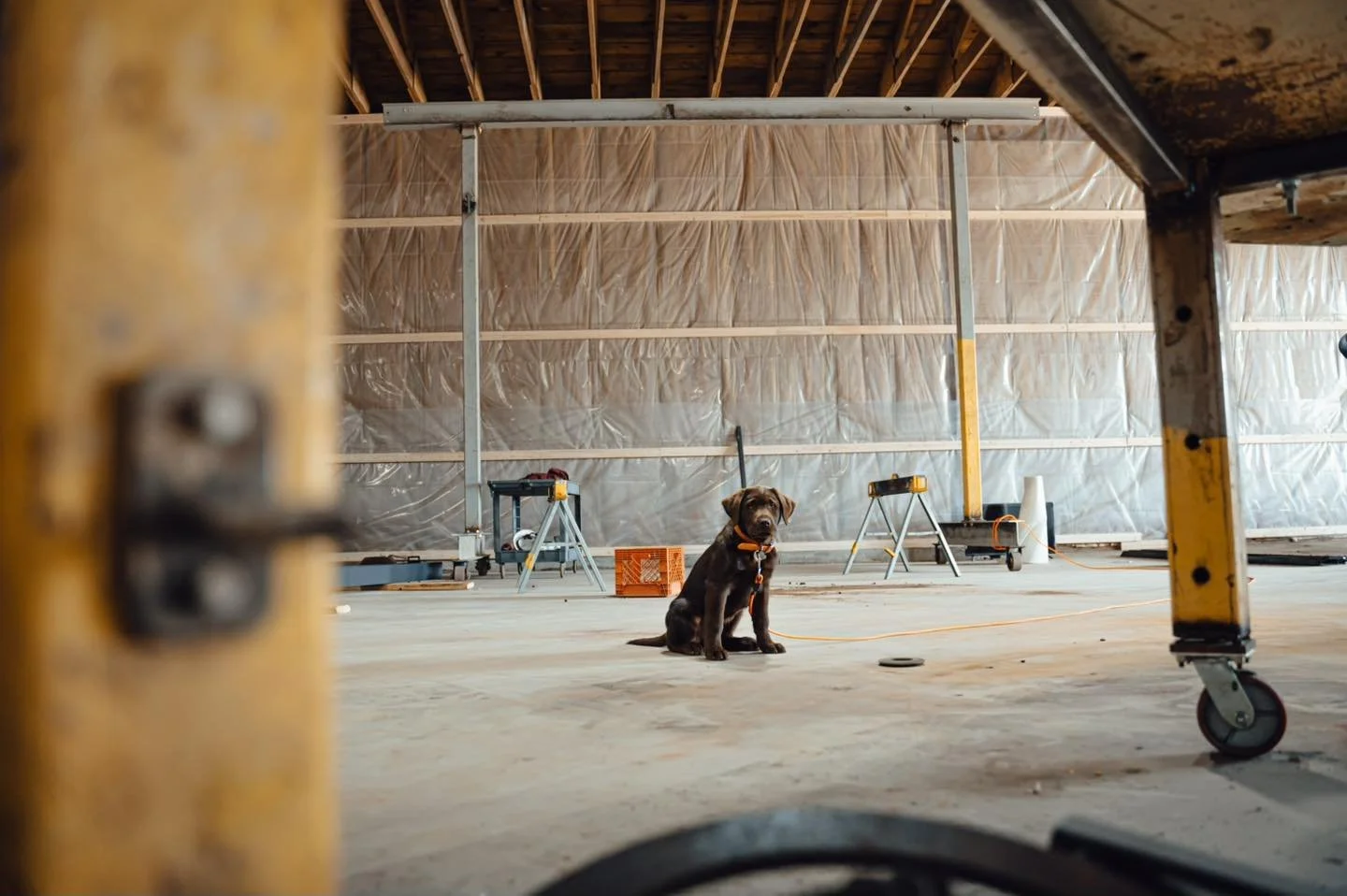 Shop dog.

chadwickwelding.com