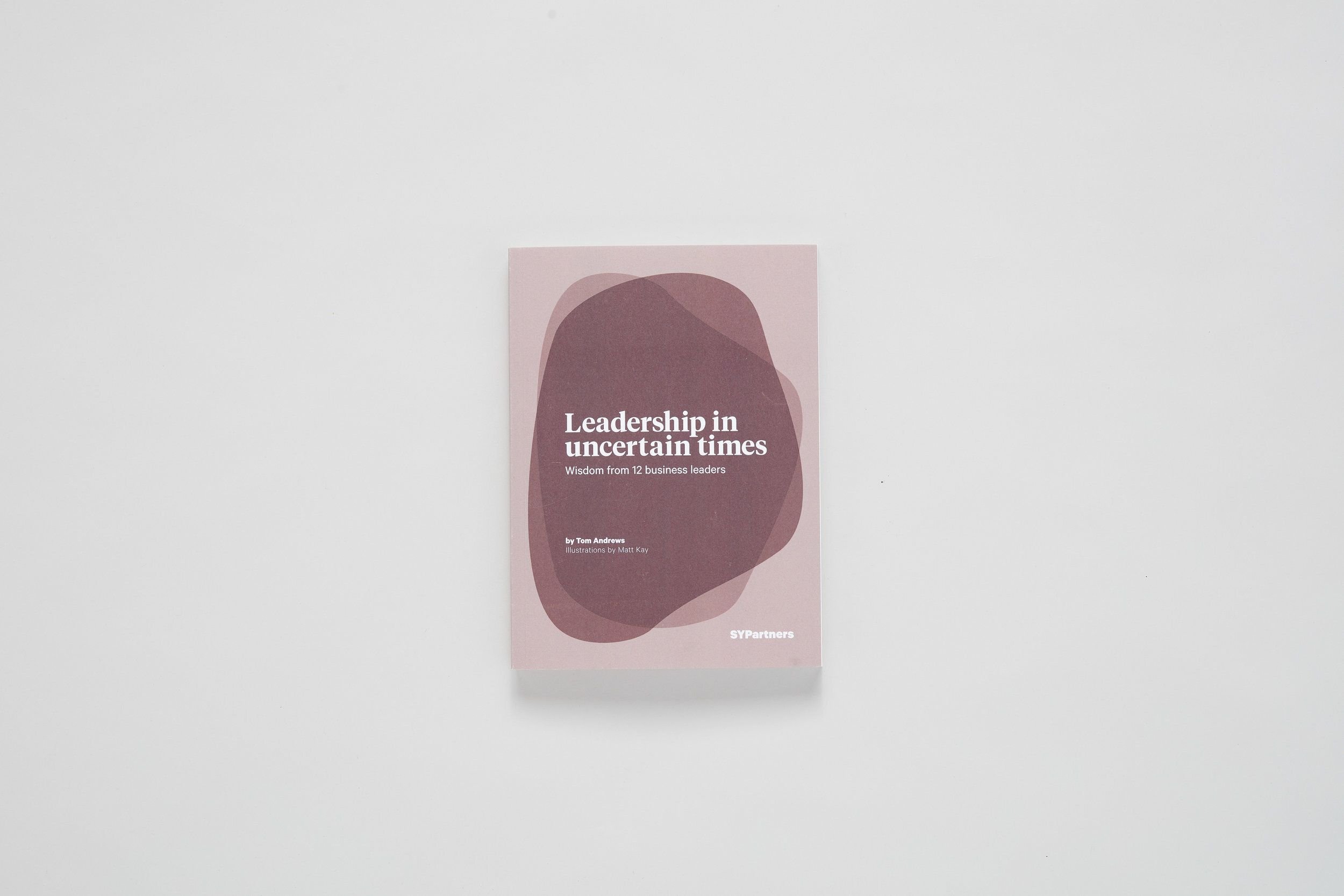 leadershipbook1.jpeg