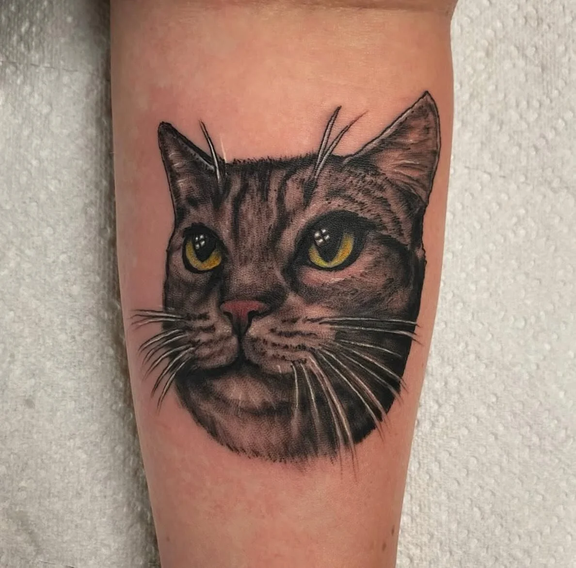 The shop would like to welcome @ajwilliamsart to the mix.

@ajwilliamsart is tattooing at @abracadabratattoori now full time. 

With years of experience tattooing in Rhode Island and abroad AJ brings his versatility to the table. With experience in m