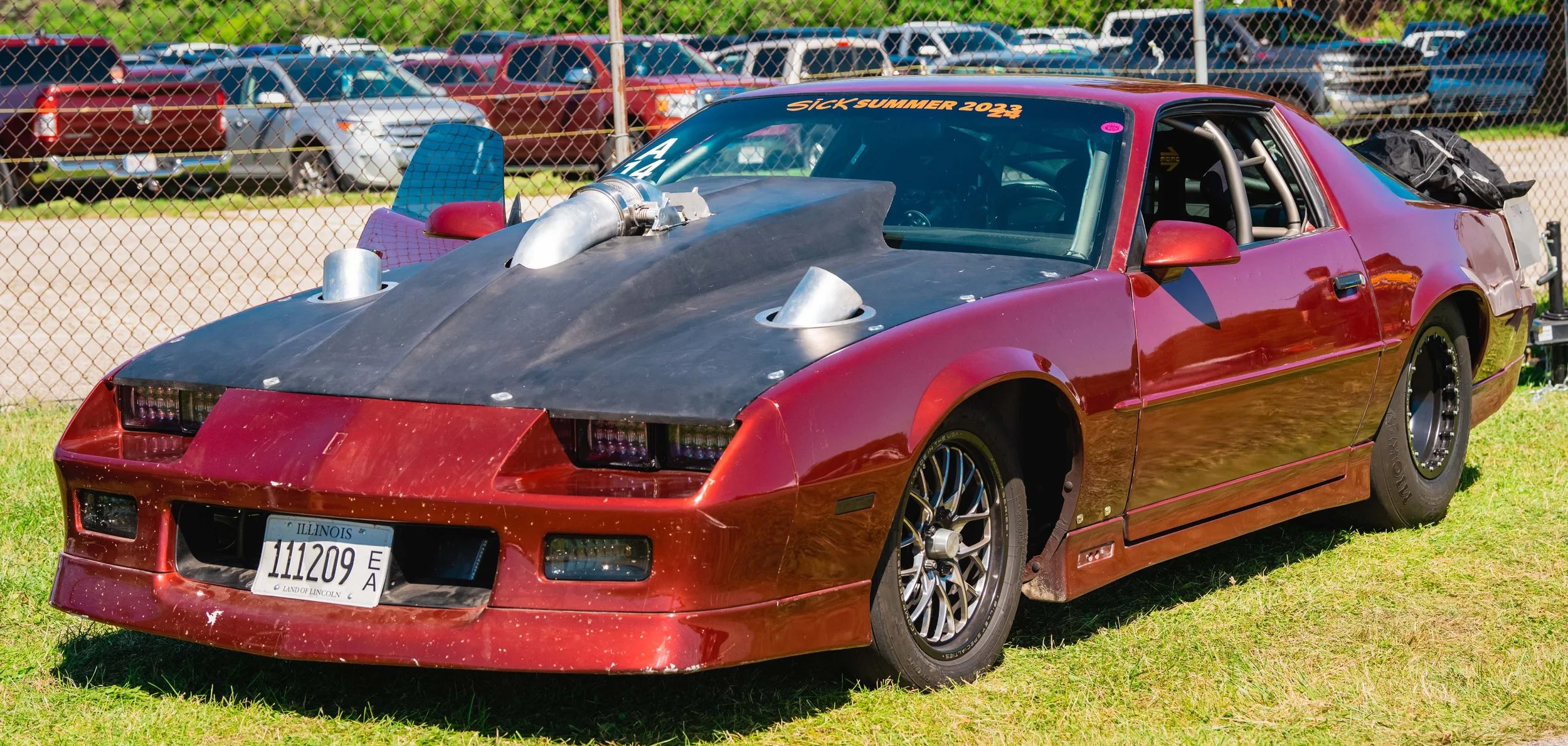 DSC08778.jpg
