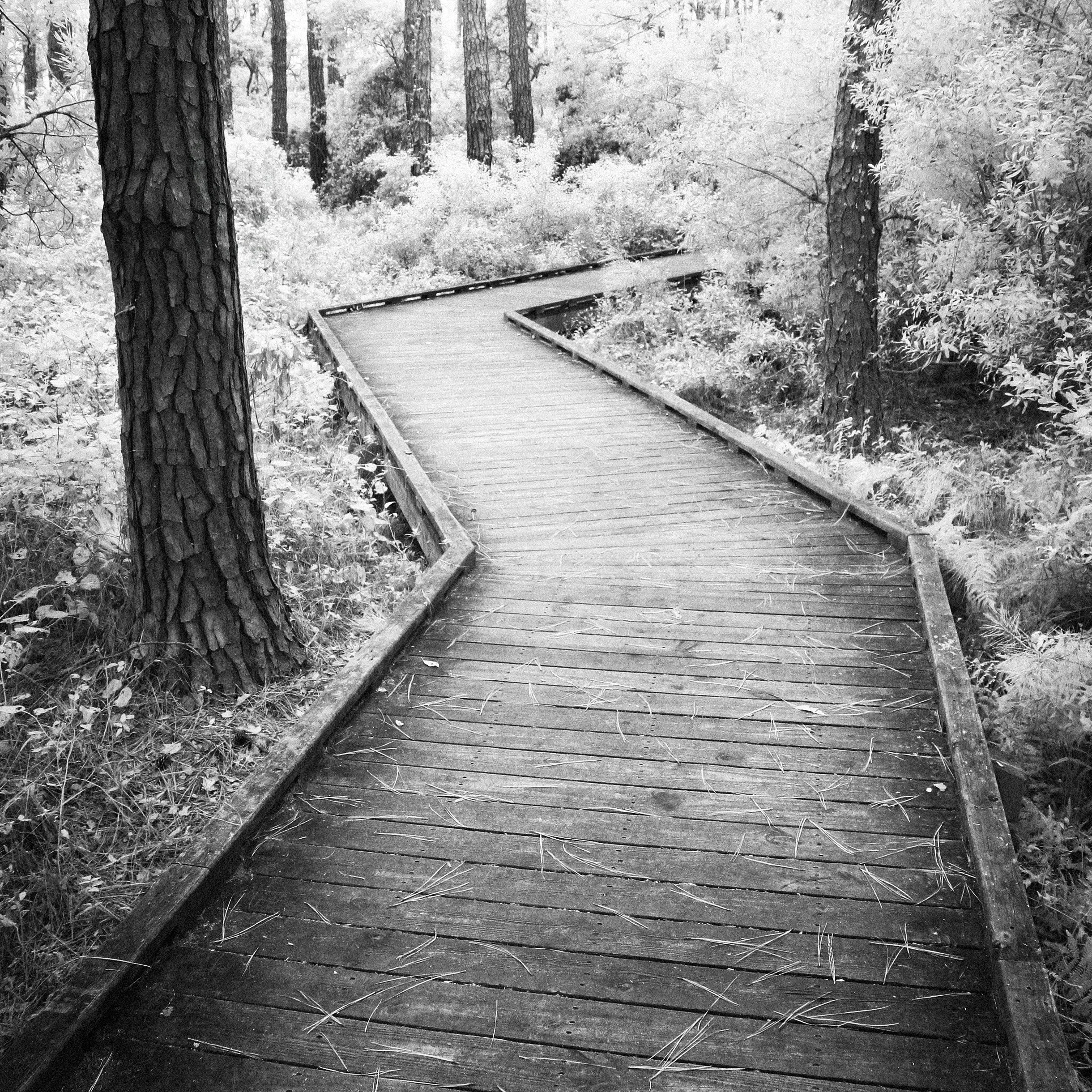 Lead by the Holy Spirit