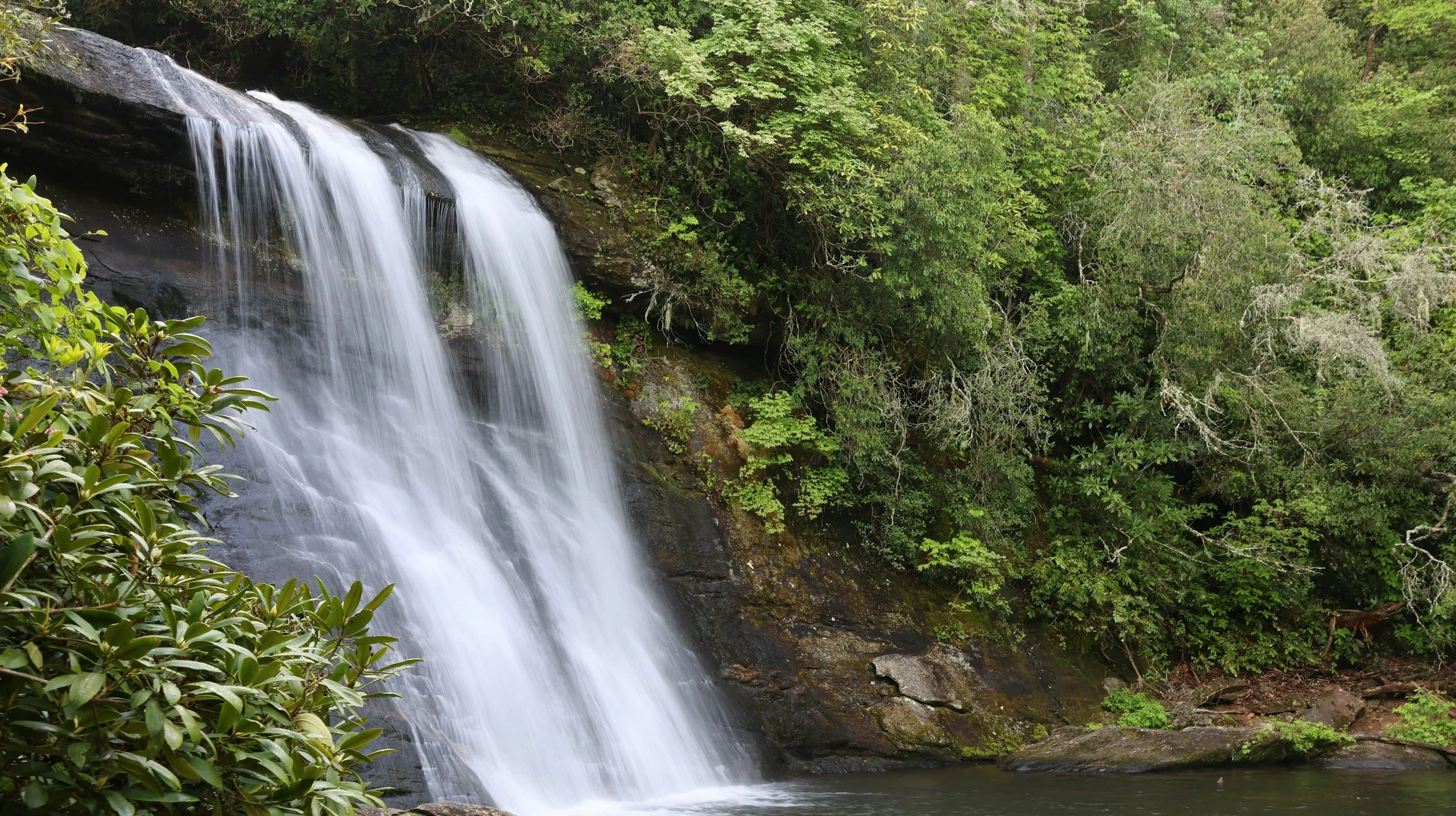 Walk in God’s Love