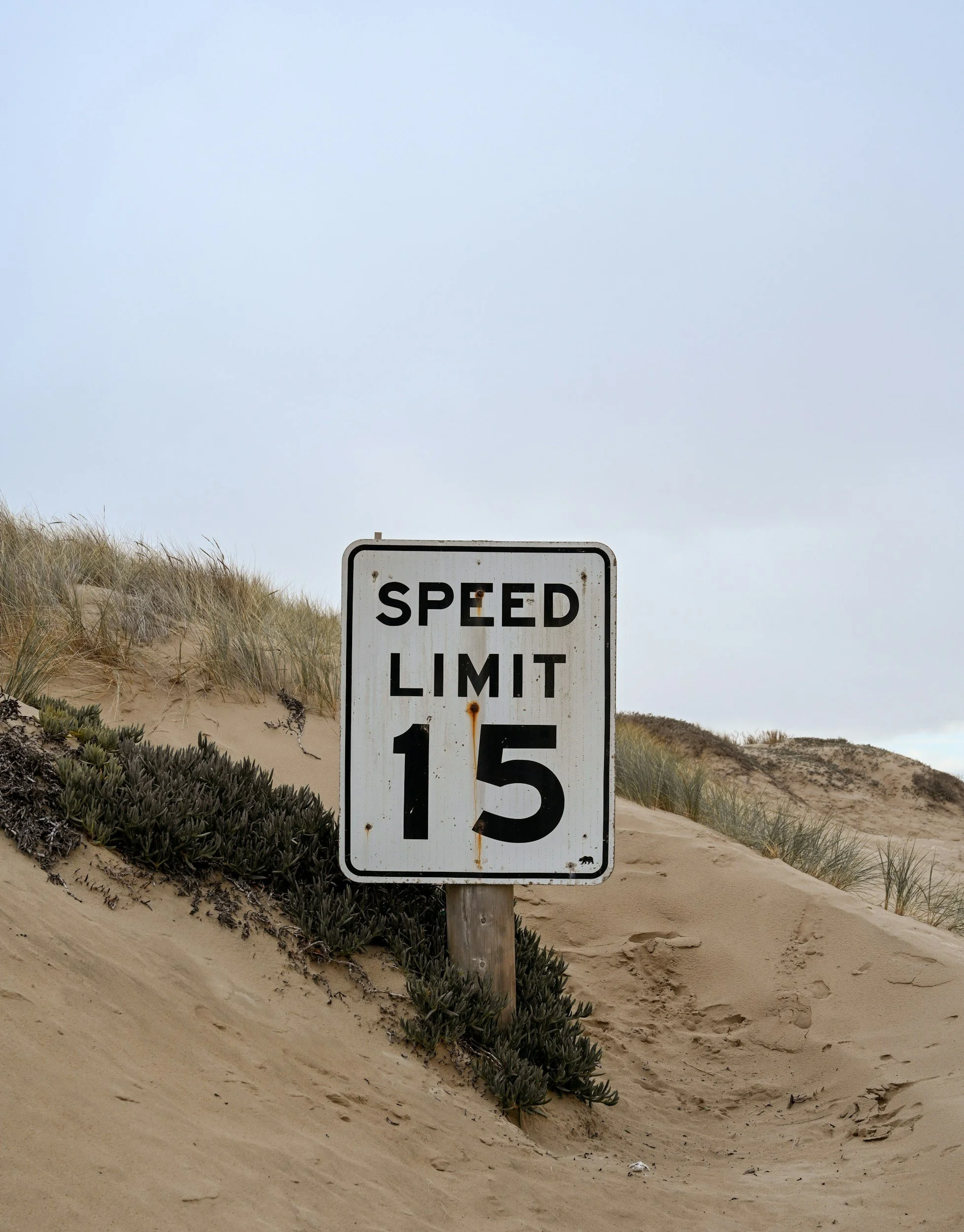 Don’t Go Too Fast In Life