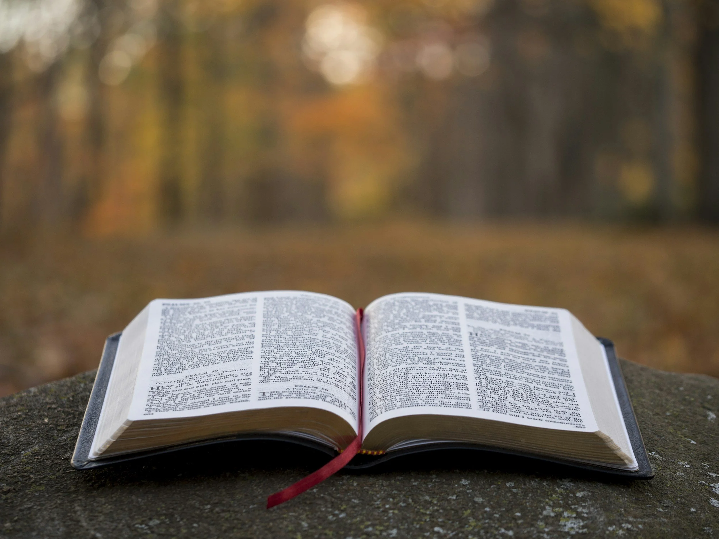 Why Was The Bible Given To Man?
