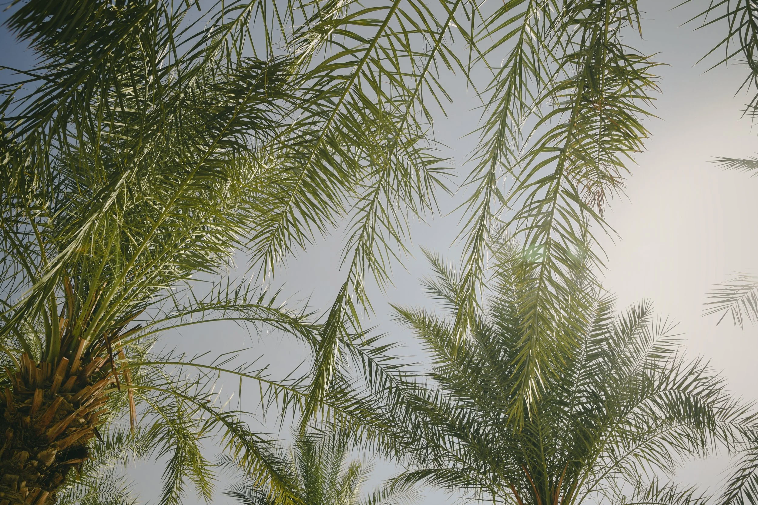 Photo Dec 31 2019, 5 40 17 AM.jpg