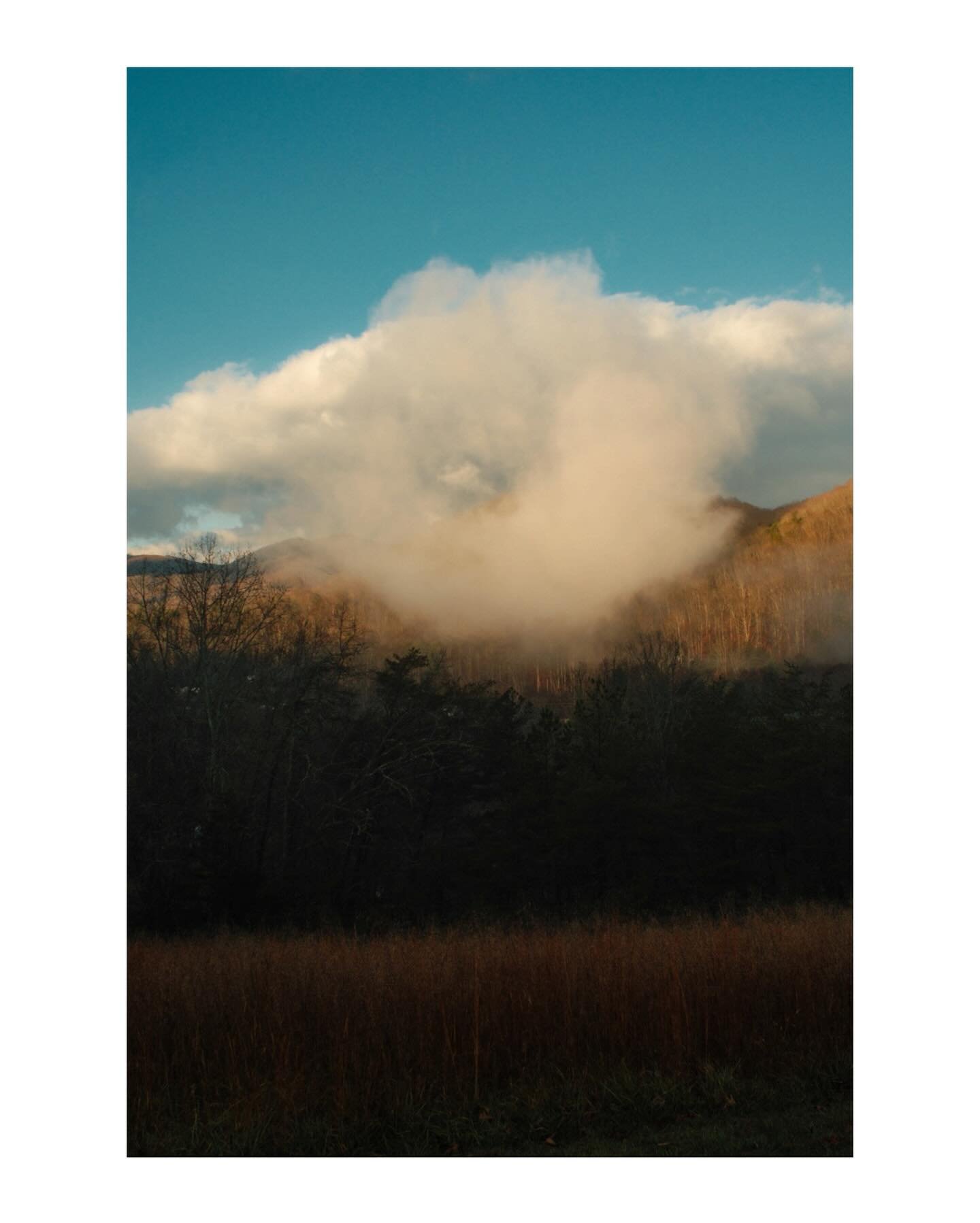 a foggy mountain morning with fam 
&bull;
&bull;
#fujixt5 #ashevillenorthcarolina #blueridgemoments #FujifilmXSeries #FujifilmXShooter #FujifilmJPEGS  #FujifilmSOOC #FujiXWeekly #Fujifeed
