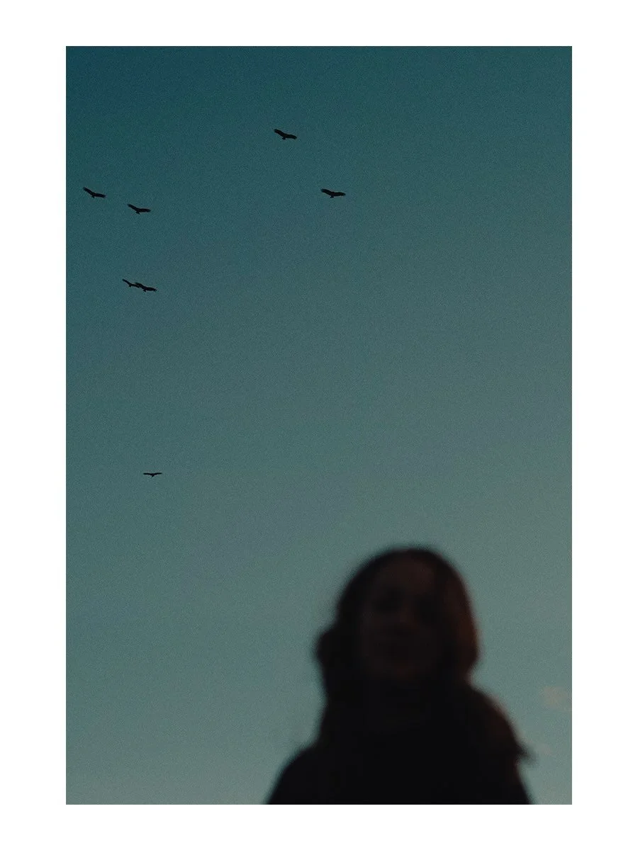 swipe thru a few favorites from a fun, fall shoot with @haleybjoyce - check her out as she blesses the world with new music 🤙🏼
&bull;
&bull;
#pentaxsuperprogram #portra400film #fujix #grainisgood #fujixt5 #louisvilleky