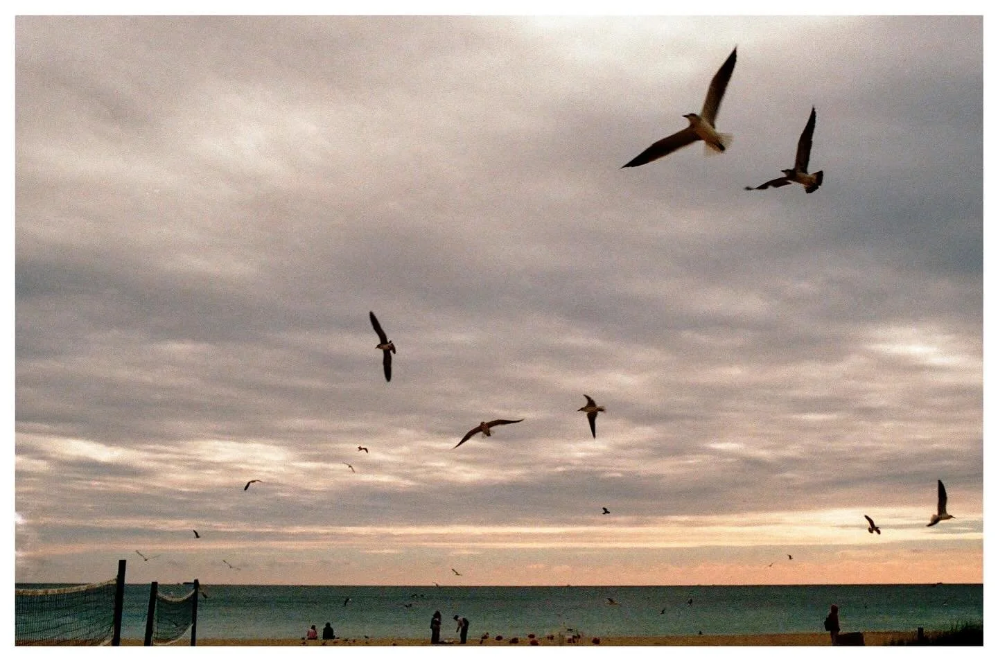 a few Floridian film frames from our not overly warm getaway a few months ago with my best friend 💚
 Slide 4 is the 🔑 
Psalm 96:11-13
&ldquo;Let the heavens be glad, and the earth rejoice! Let the sea and everything in it shout His praise! Let the 
