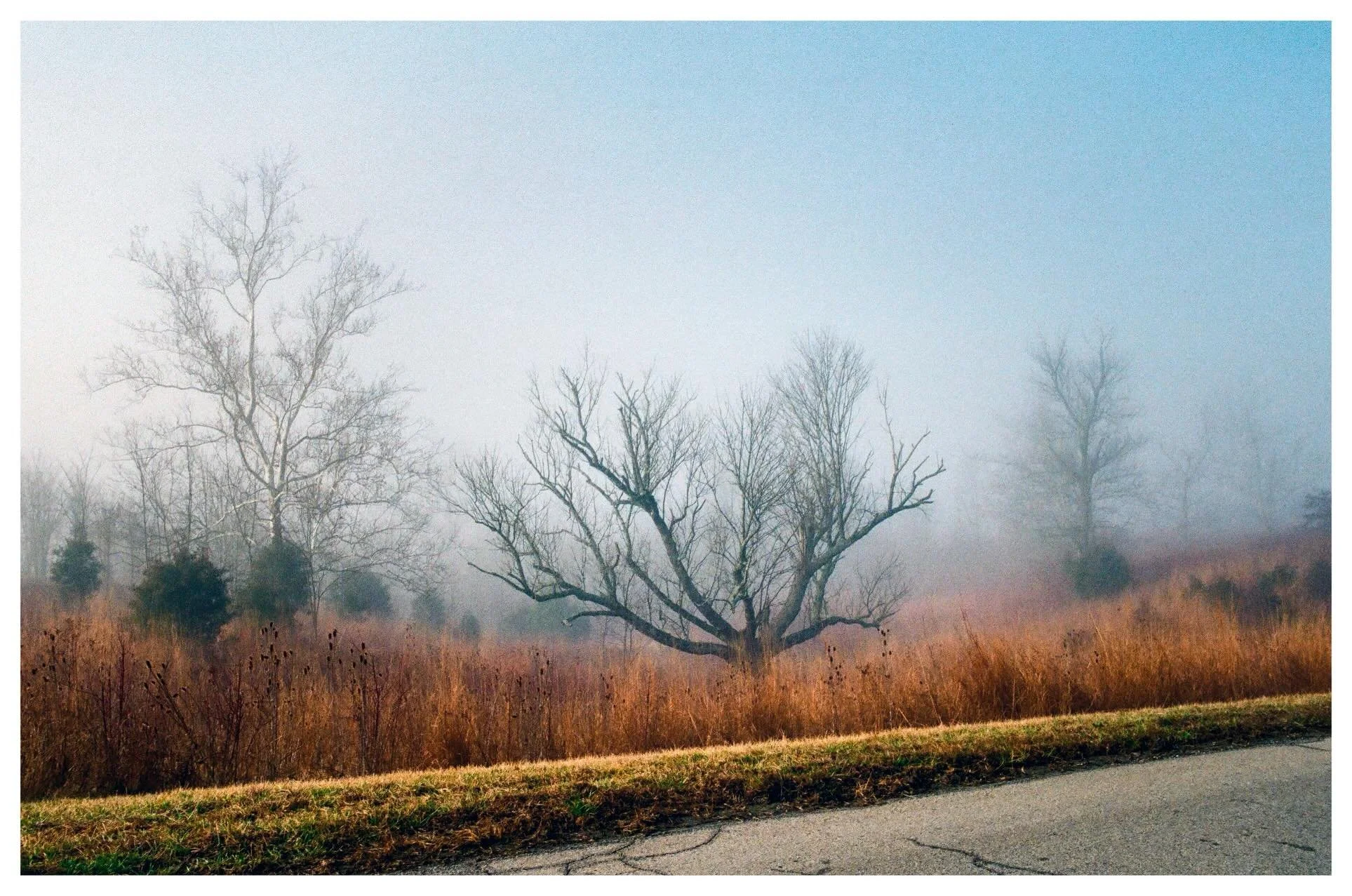 A collection of photos from early, winter morning drives with the kids 🧡
&bull;
&ldquo;Therefore God has highly exalted him and bestowed on him the name that is above every name, so that at the name of Jesus every knee should bow, in heaven and on e