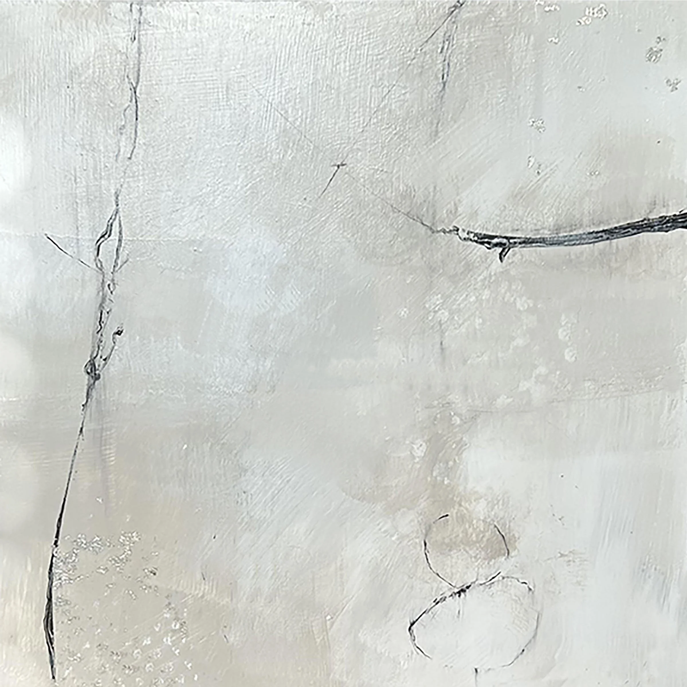 Close-up of cracked and weathered light gray concrete surface with darker lines and small debris or dirt particles.