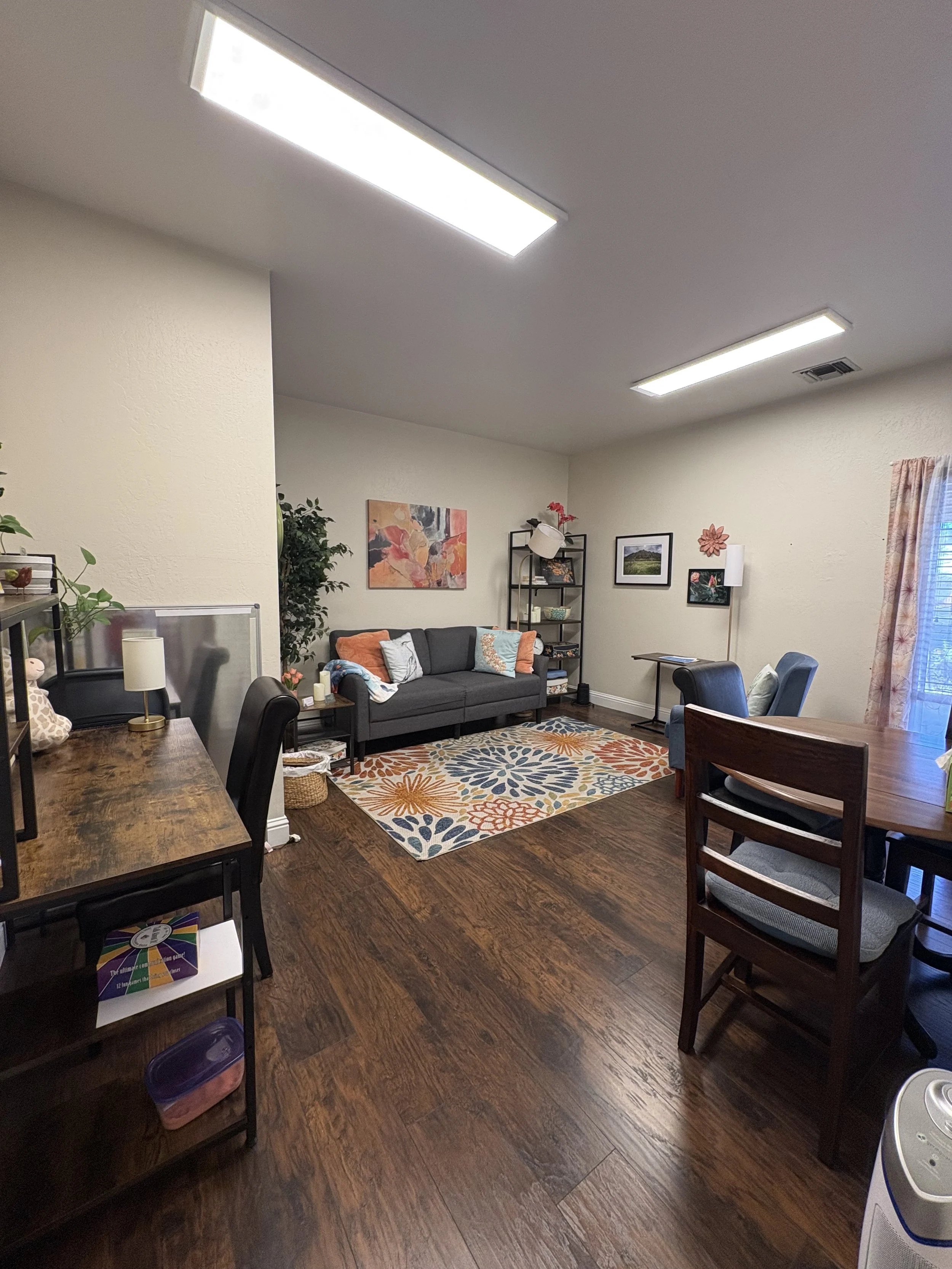 Private therapy office interior with a comfortable sofa and clinical consultation area for in-person sessions in Silicon Valley.