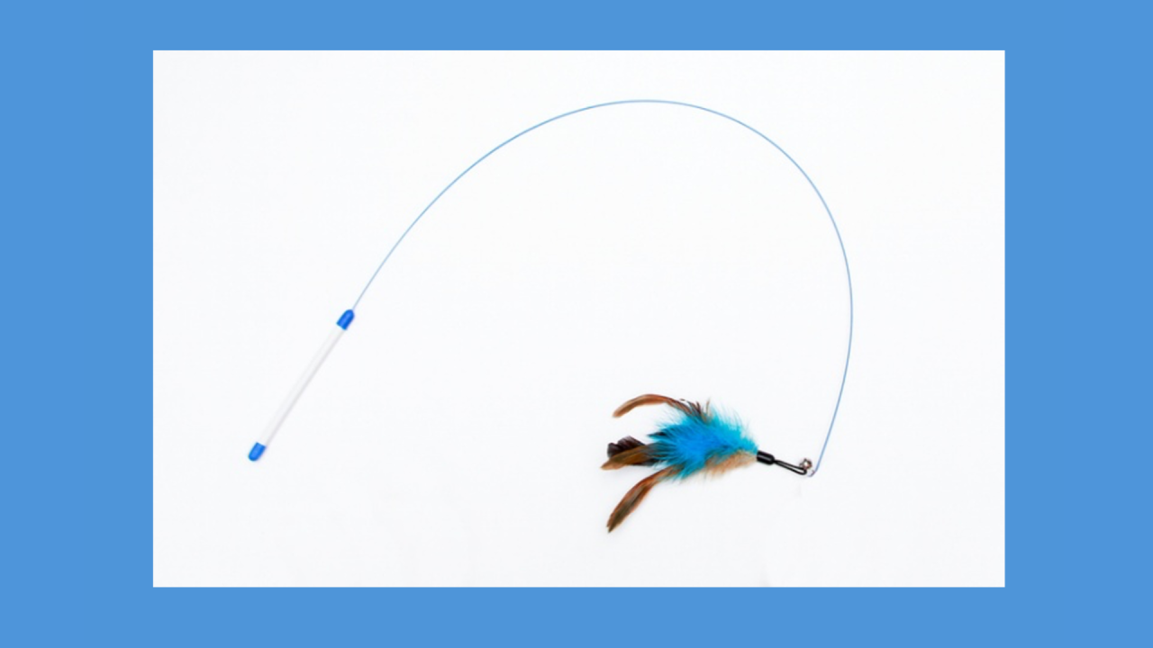 Why Seeking Out Stress Advice Can Look Like a Cat Batting a Toy - and What to Try Instead