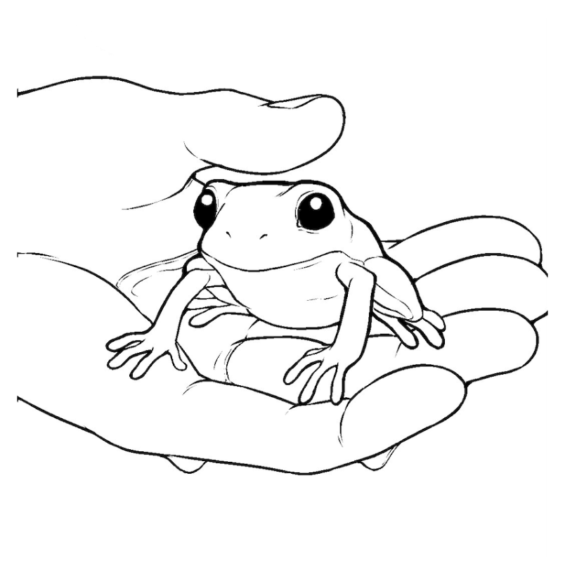 Look out! Duck! Part 2