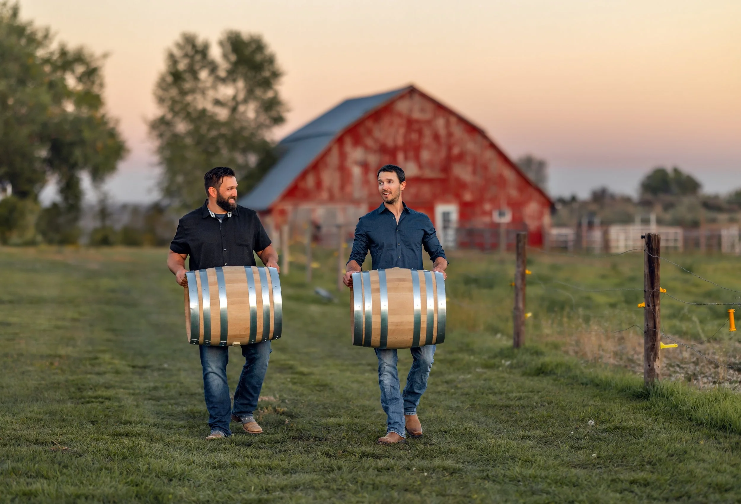 Young vineyard growth at Winery 5280 in Loveland, Colorado boutique Northern Colorado winery producing handcrafted red and white Colorado wines.