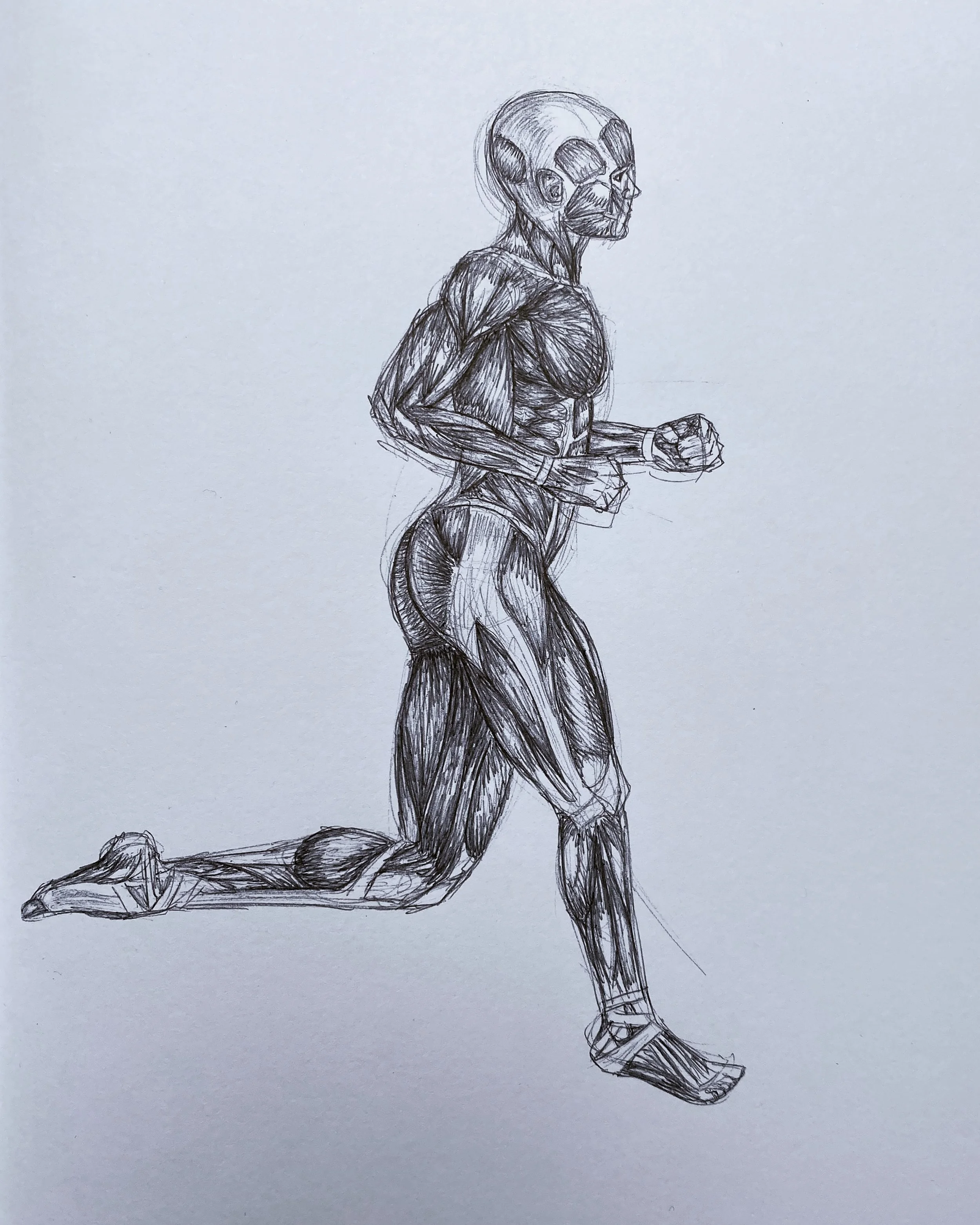 9x12_ ink(1).jpg