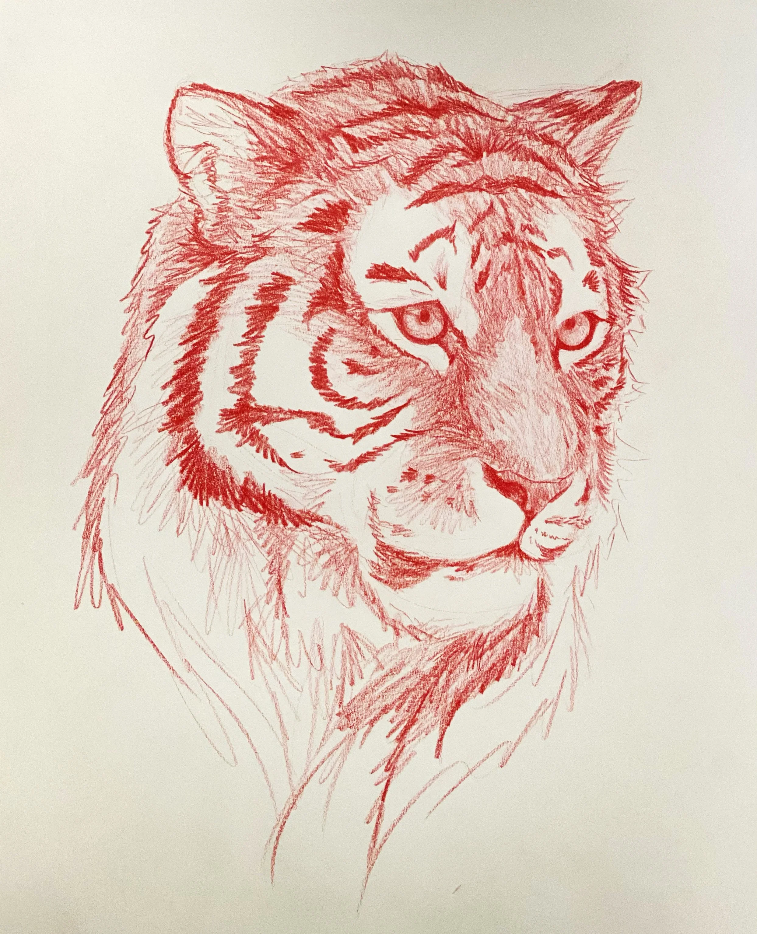 11x14_ colored pencil.jpg