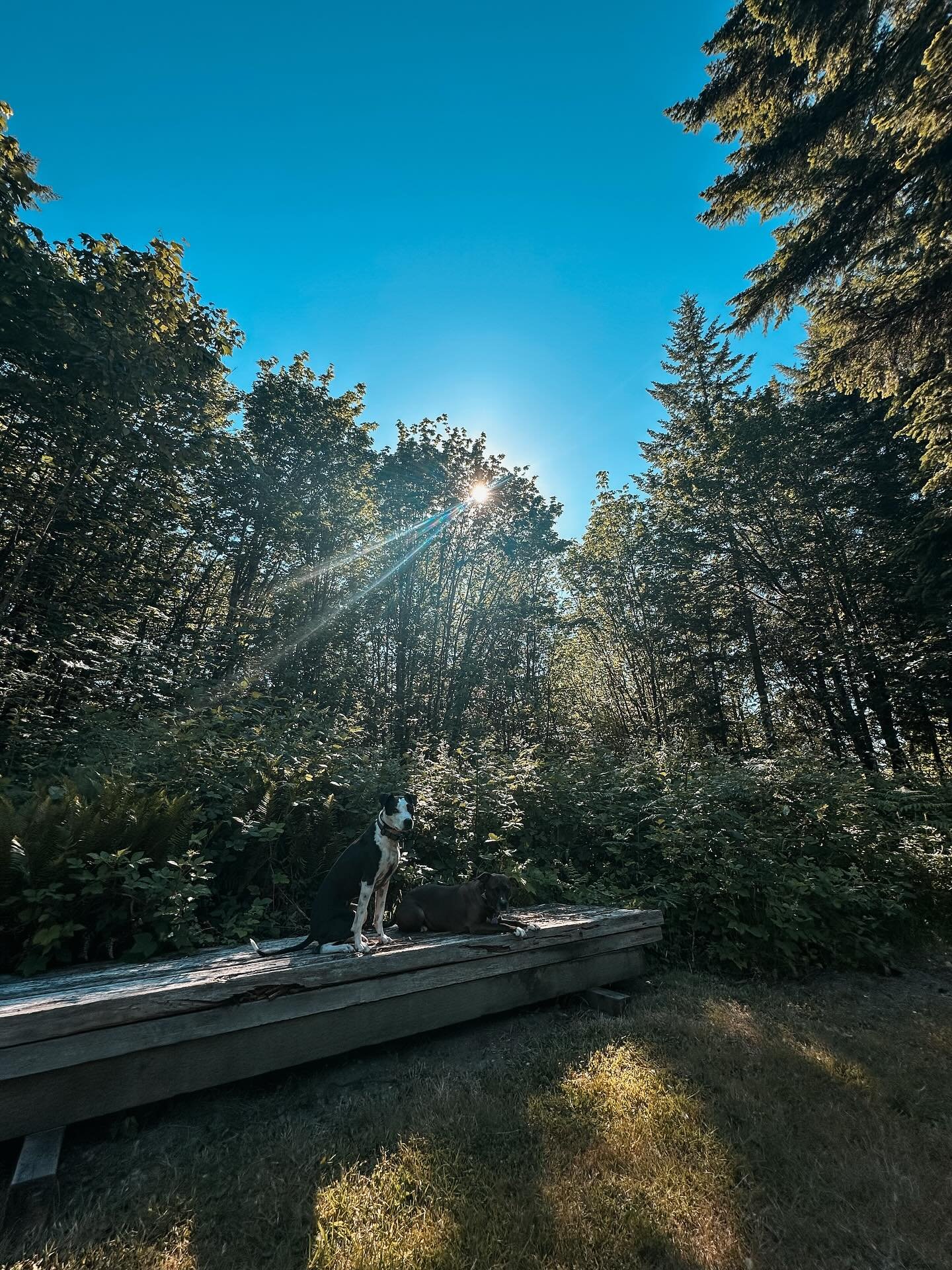 Can I call it an annual camping trip even though this is only the second one? I&rsquo;m going with it&hellip; 

Our annual camping trip is complete and it was so good for the soul. We slept with a perfect view of the moon, explored some of the most d