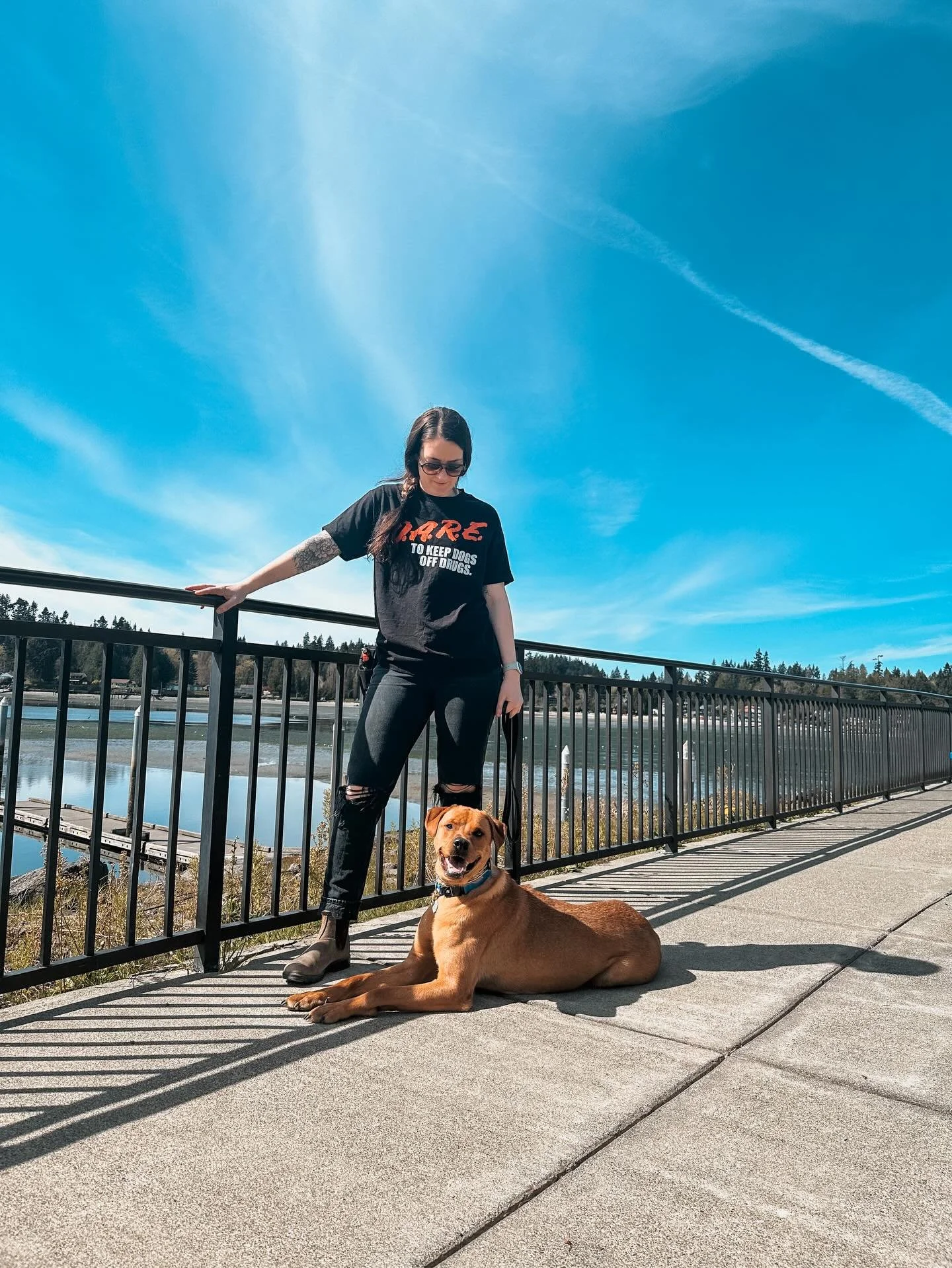 BRB going to be submitting apps to modeling agencies for Foster Nic ASAP 

Reminder, Foster Nic is adoptable and would love to find his forever home here in the beautiful PNW &hearts;️

#fosterdogsofinstagram #fosterdogs #rescuedogsofinstagram #dogtr