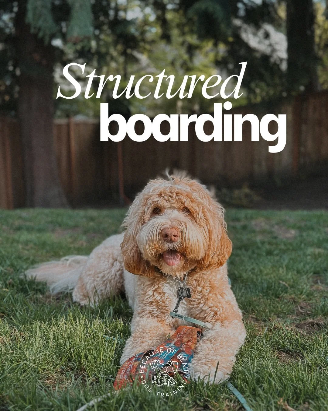 Let&rsquo;s chat ✨Structured Boarding✨

Structured boarding is a great alternative to traditional boarding options. I prioritize providing structure, daily fulfilling exercise and focus on neutrality instead of chaos. 

Structured boarding may be gre
